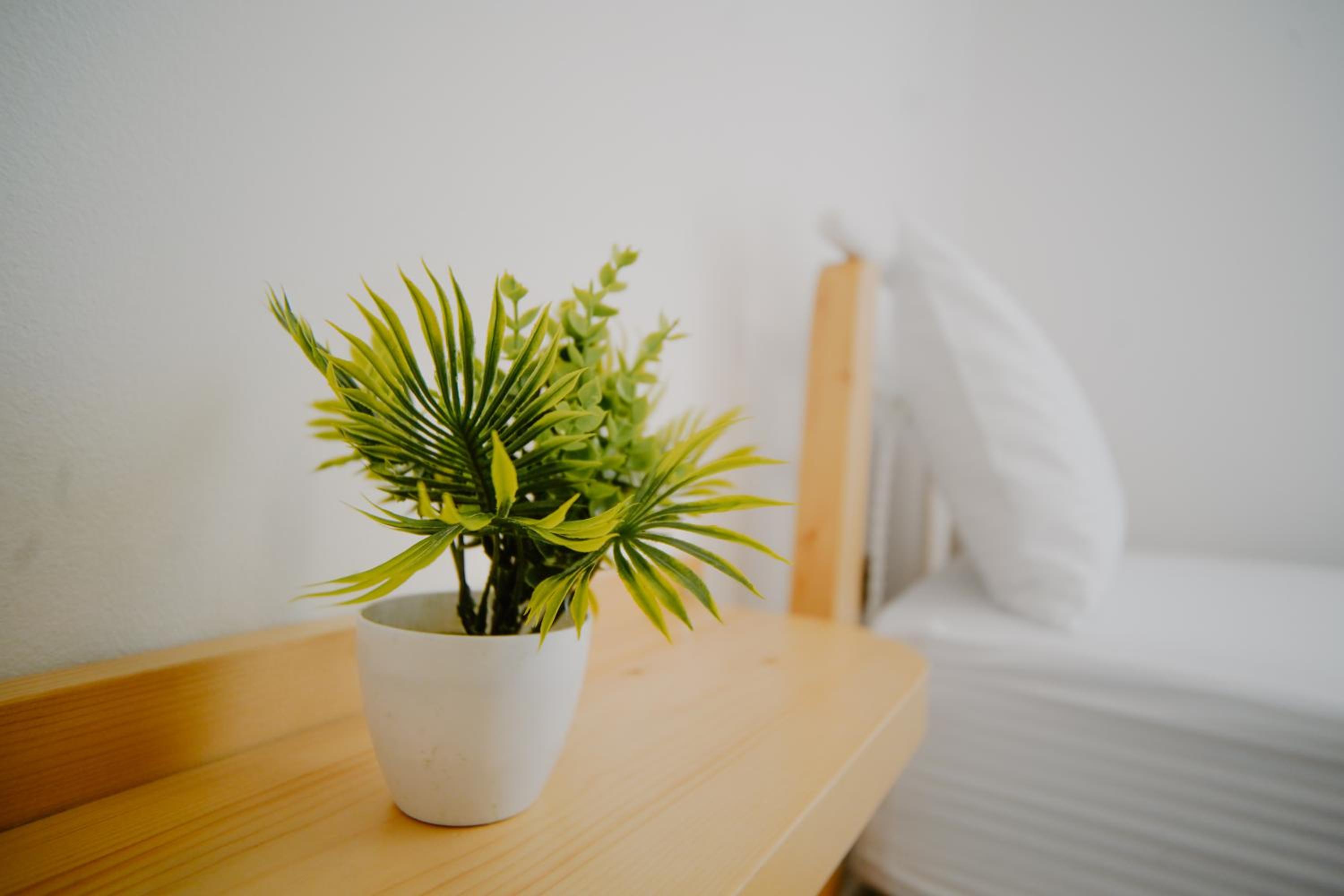 Arsi Apartament