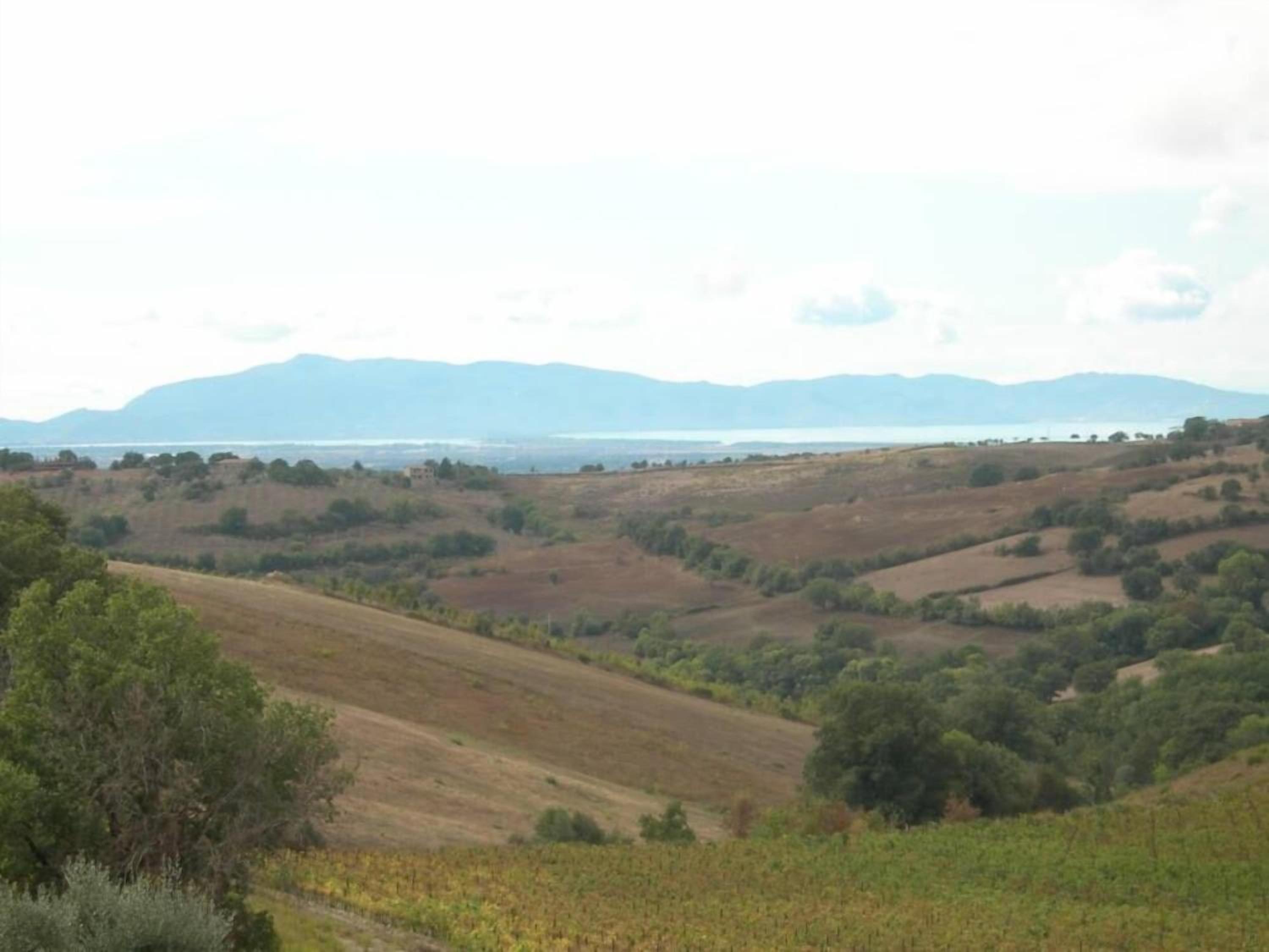 Casale Vergheria