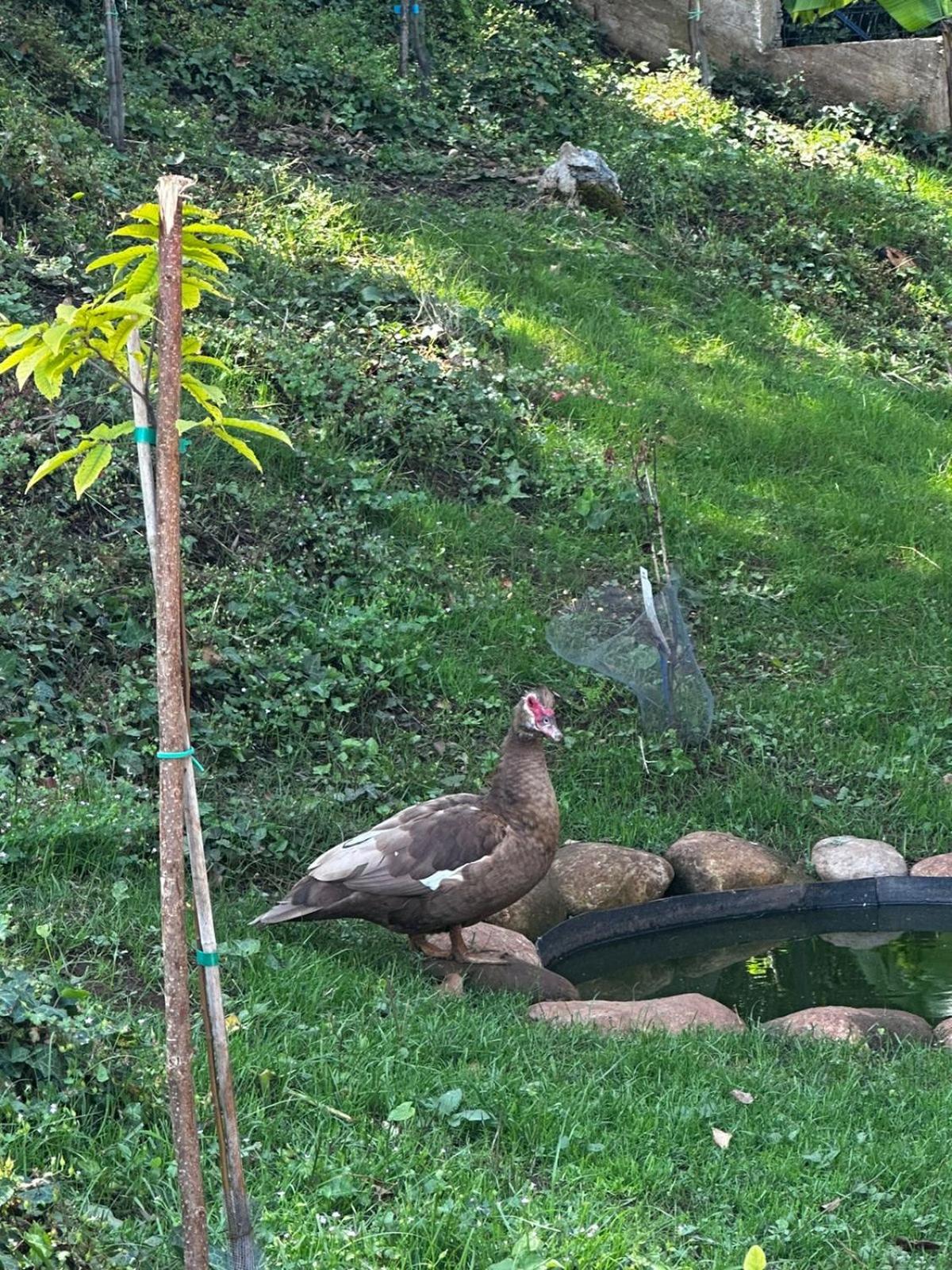 Photo 16