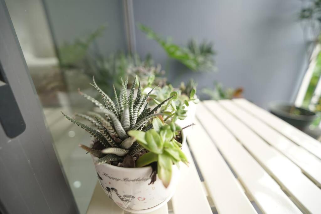 Rosemary's hi