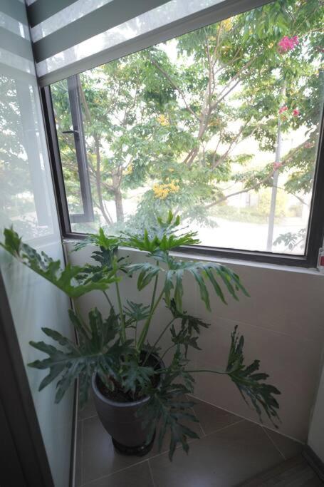 Rosemary's hi