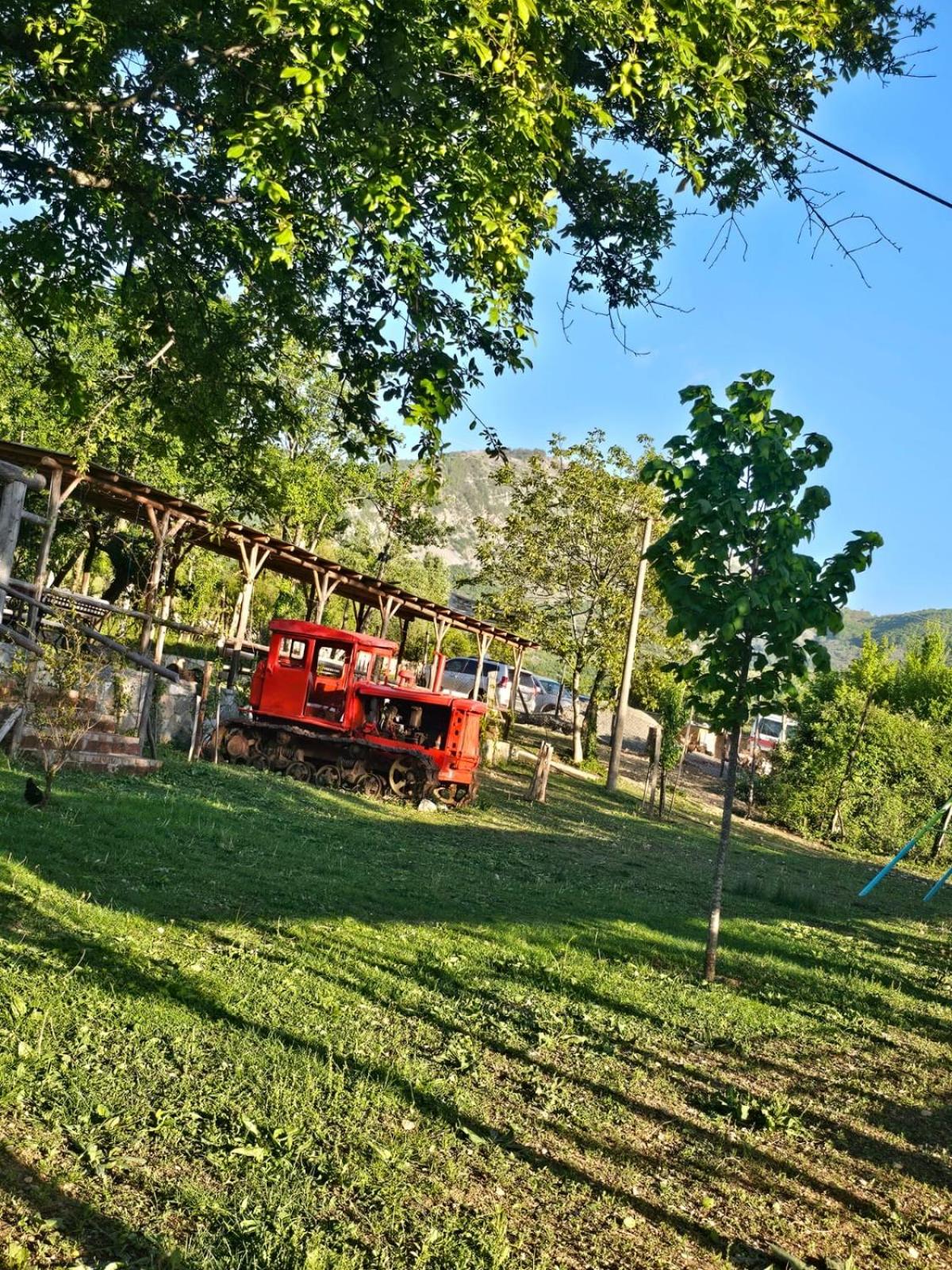 VILA DISHA