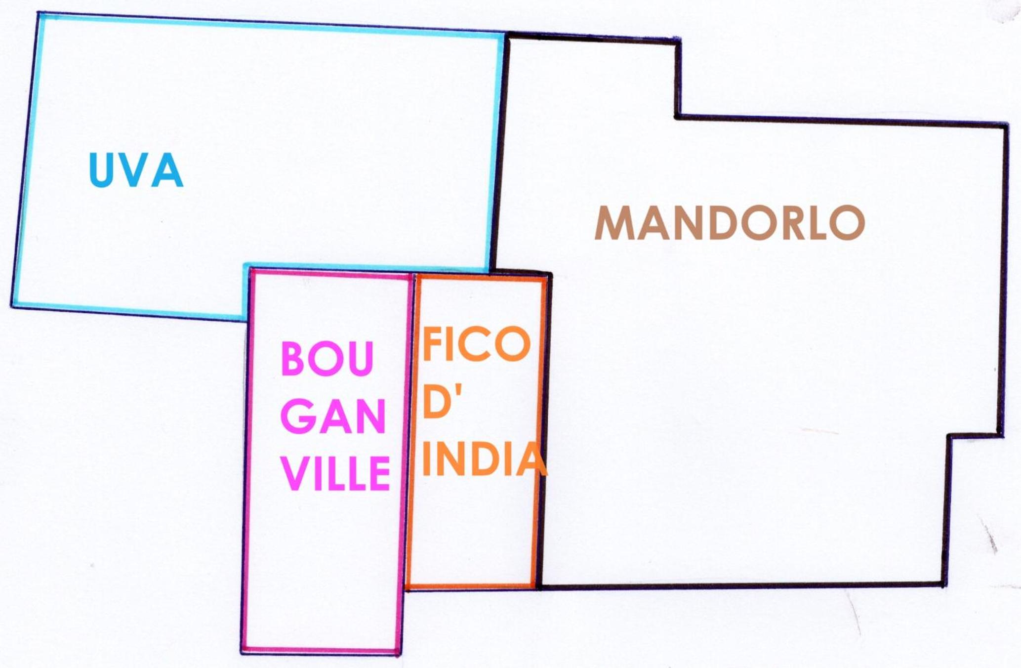 MASSERIA BOSTINI