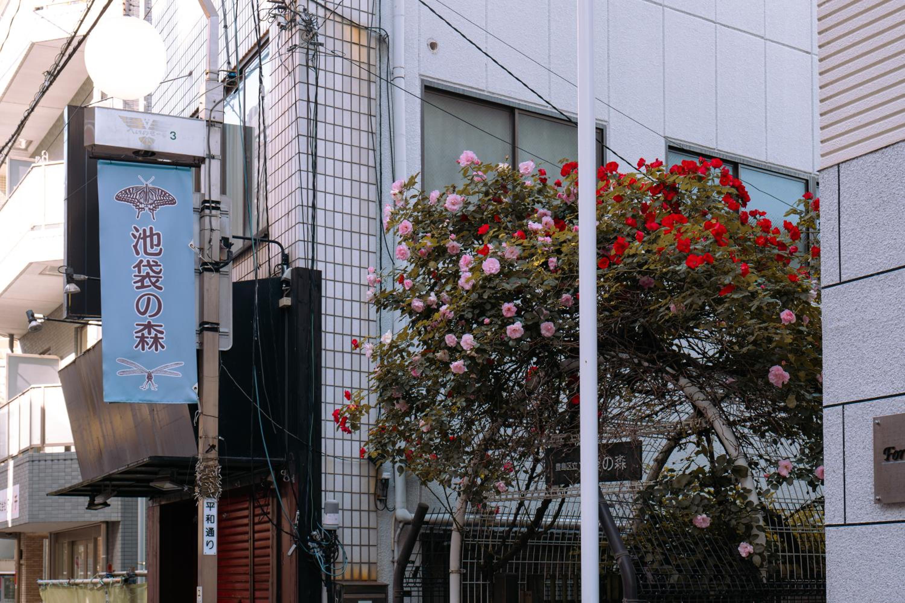 桜の川1 池袋駅 5分 2-8人丨Ikebukuro 5 minutes 2-8 people