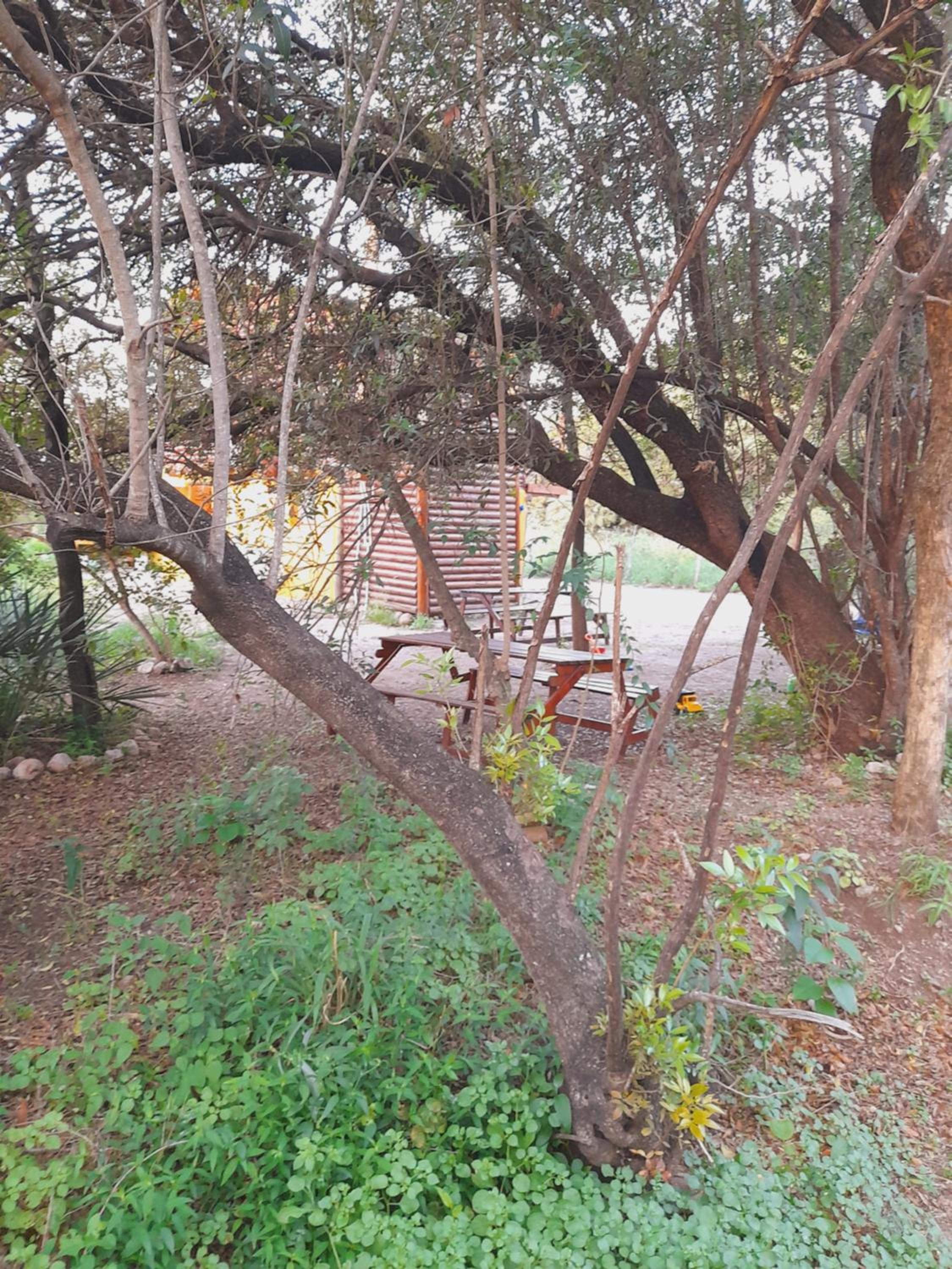 Cabañas PLÉYADES
