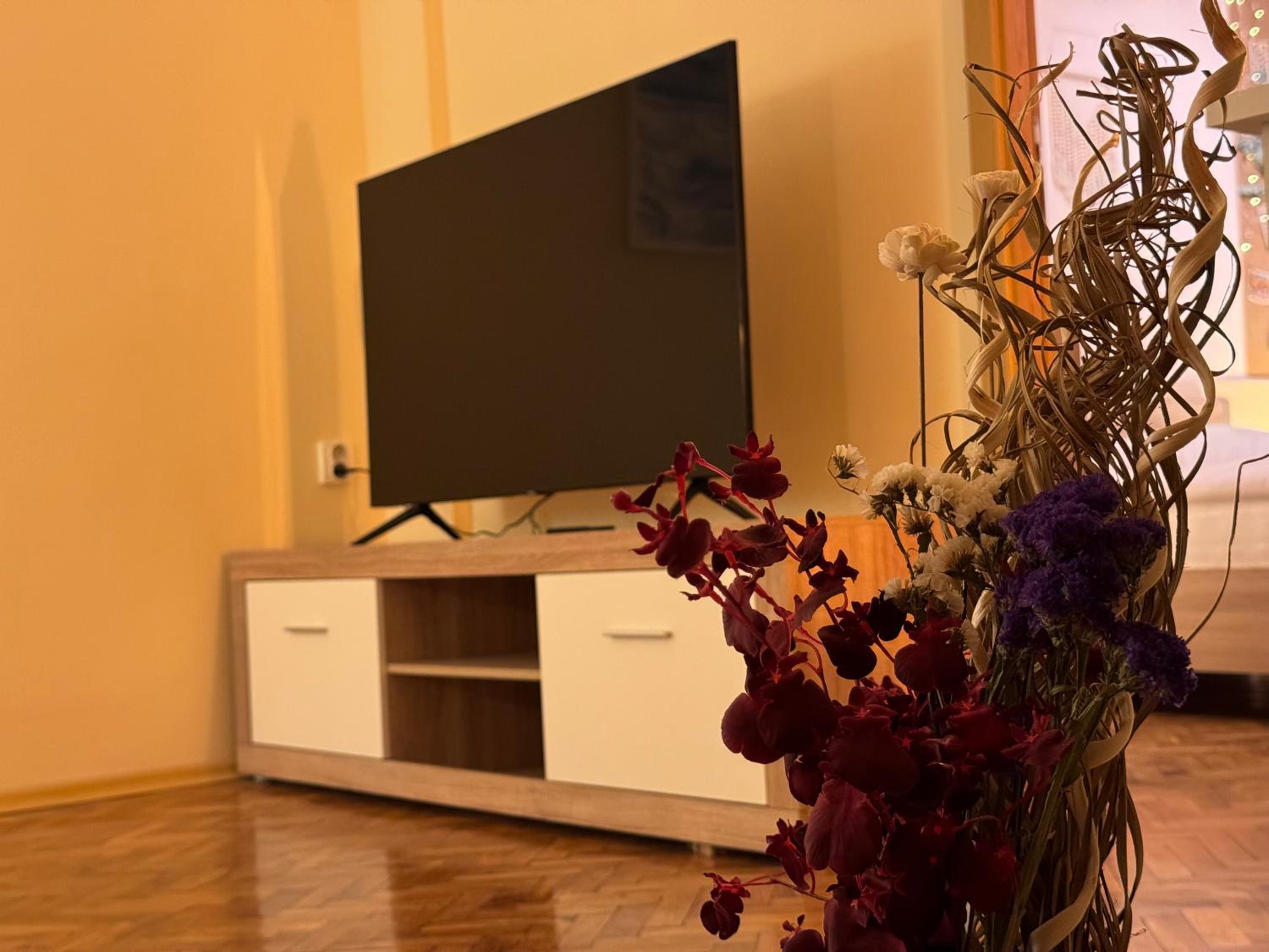 Cozy and quiet central apartment