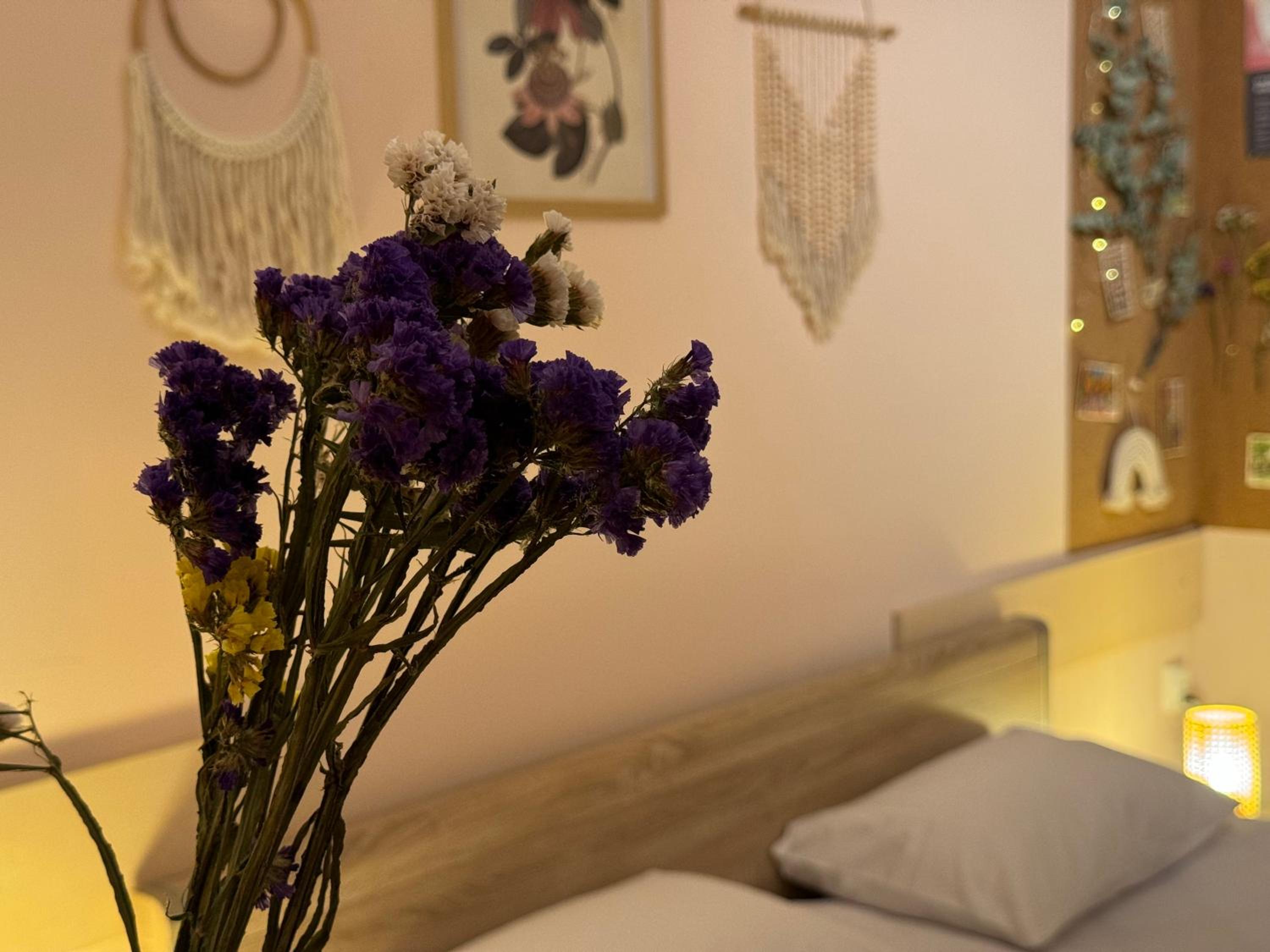 Cozy and quiet central apartment