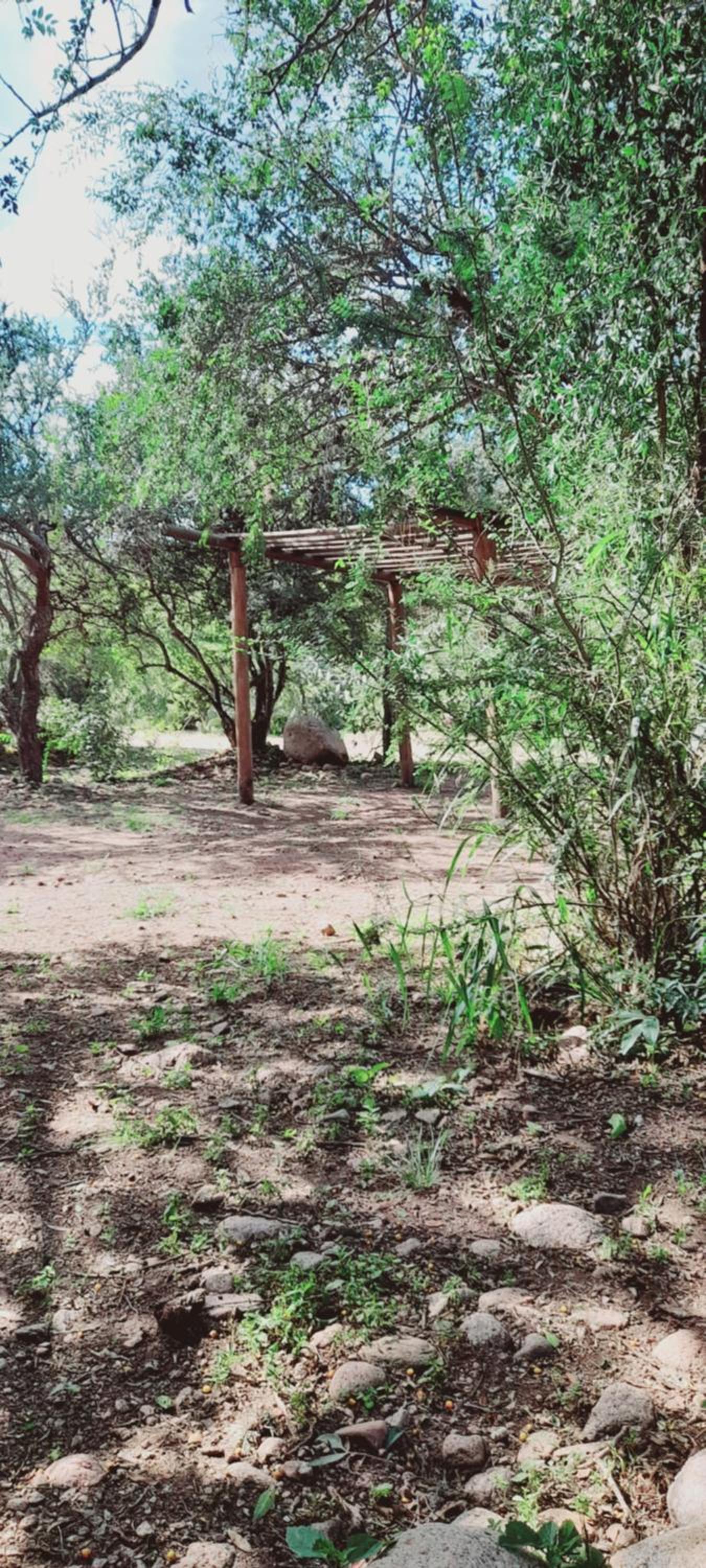 Cabañas PLÉYADES