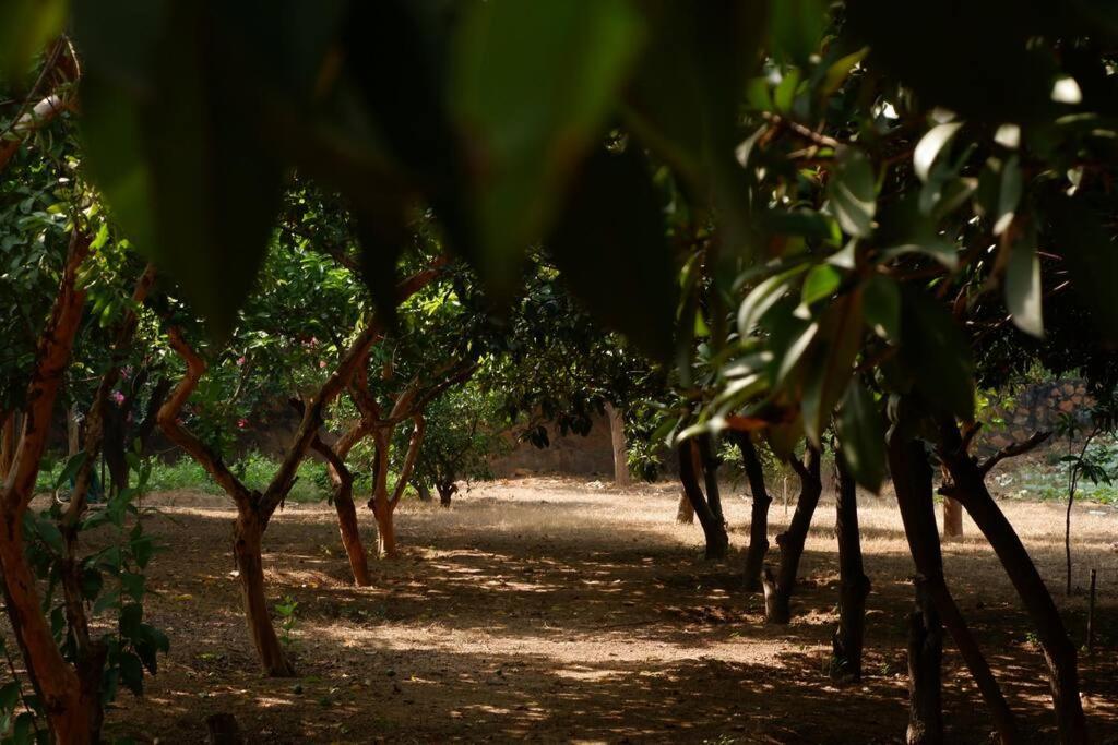 The Raghav Farmhouse