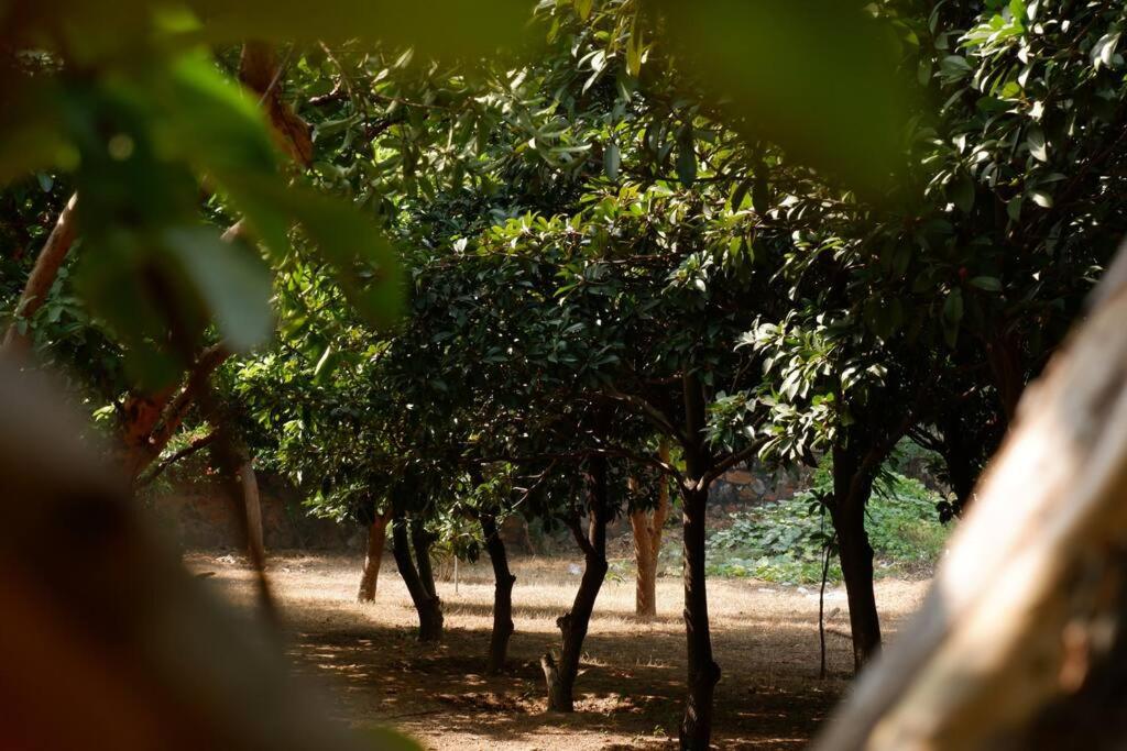 The Raghav Farmhouse