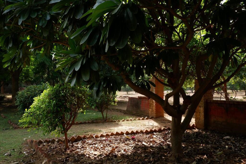 The Raghav Farmhouse