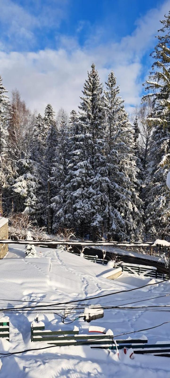 Garsoniera Mikha en Sinaia