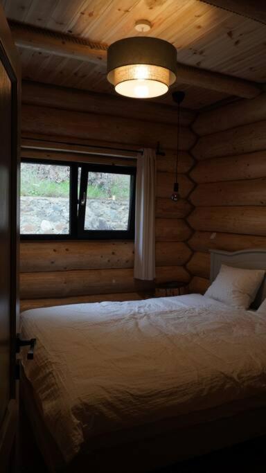 Cabana de Bușteni
