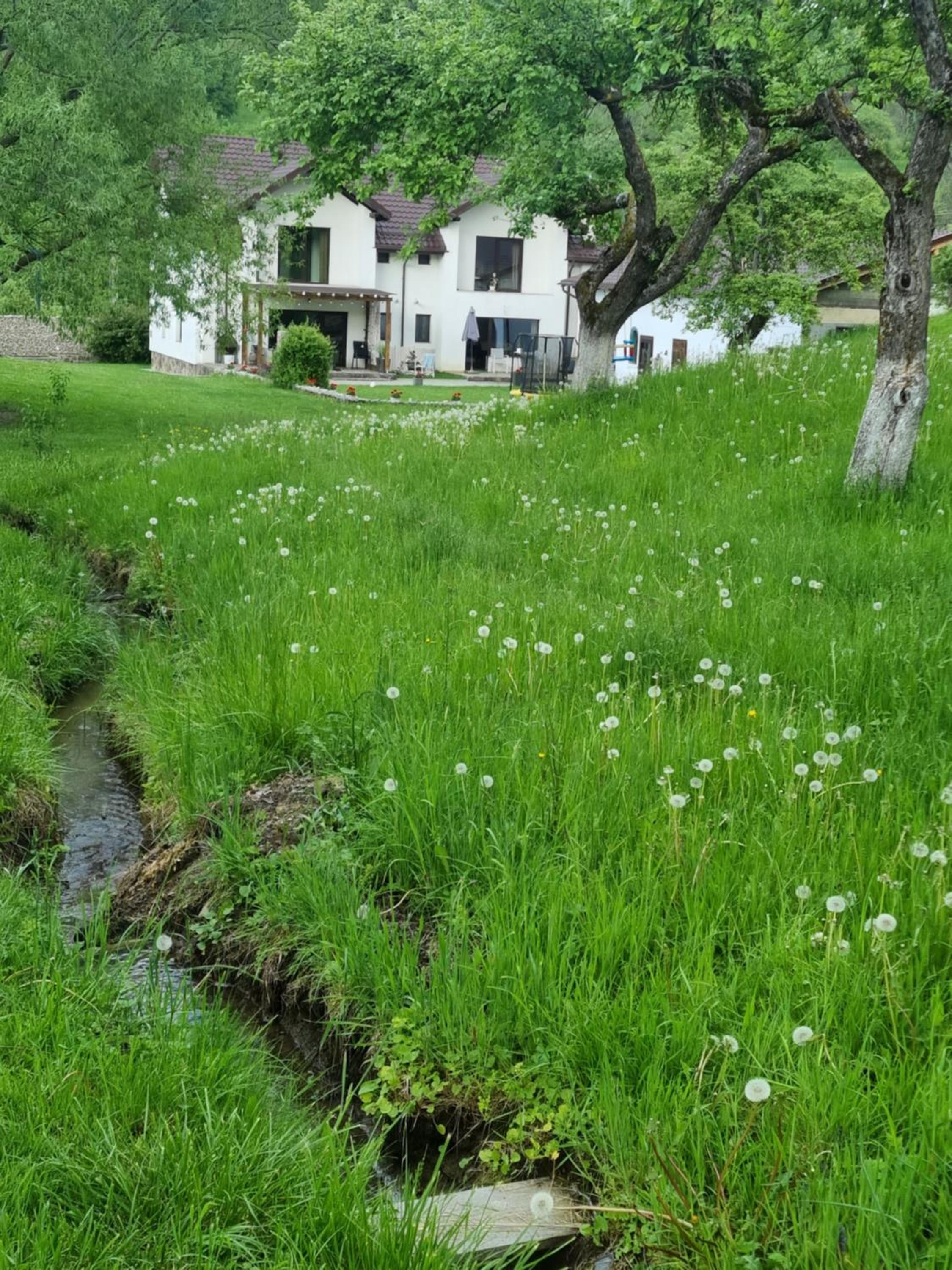 Casa din vale