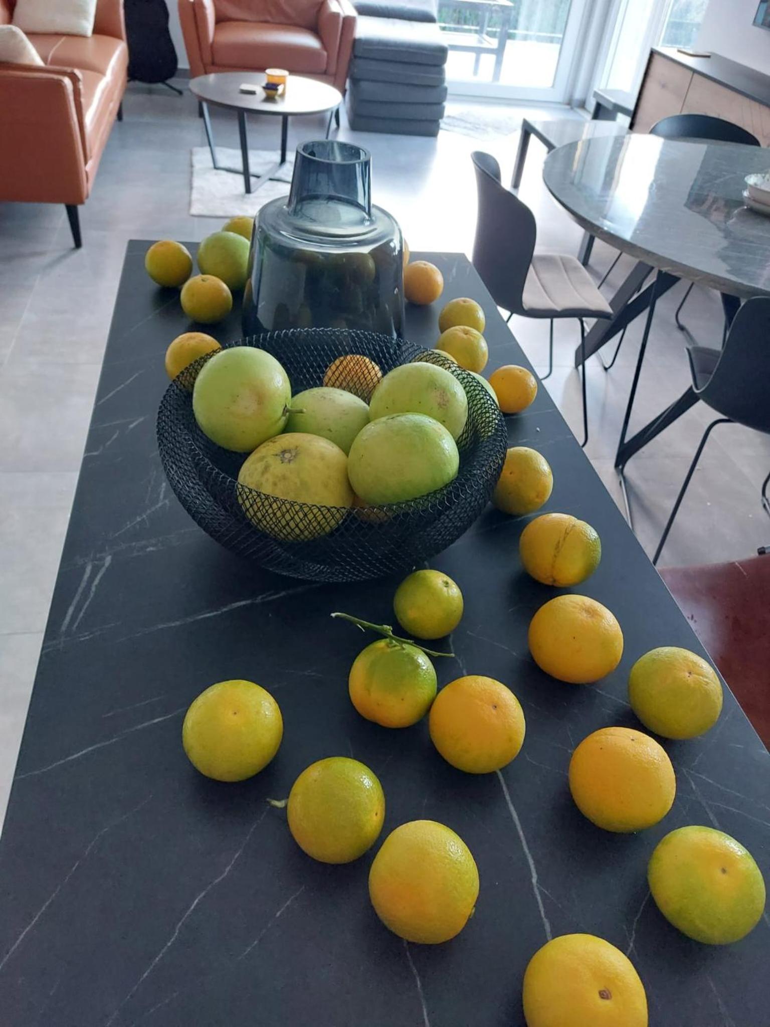 Bella Arte Dubrovnik