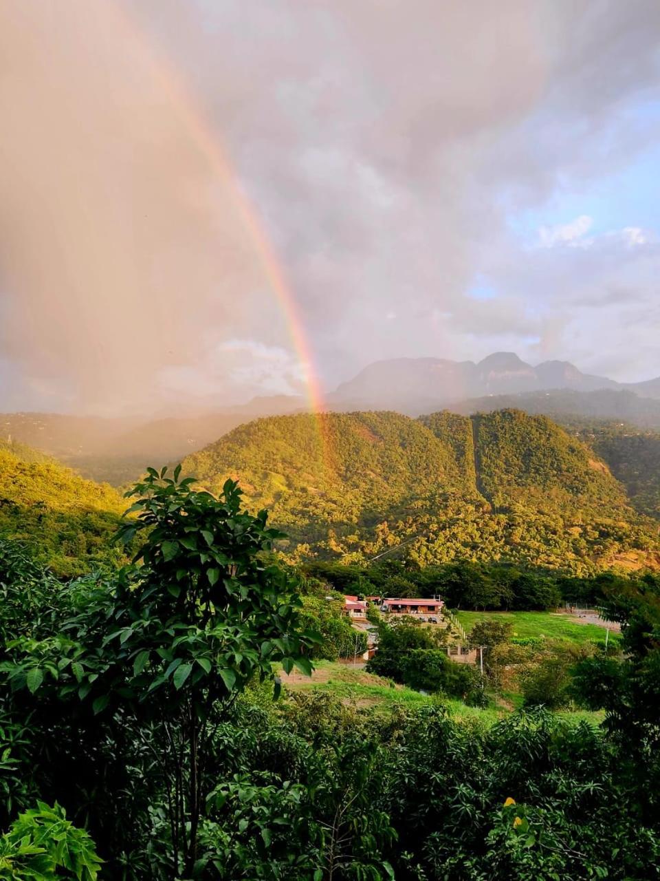 Posada Turistica Rural y Glamping Altos del Dorado La Mesa
