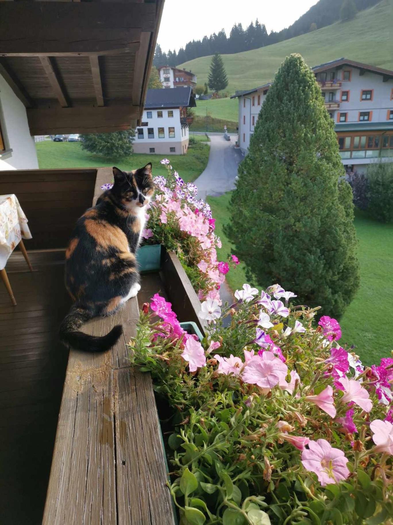 Gästehaus Bergland