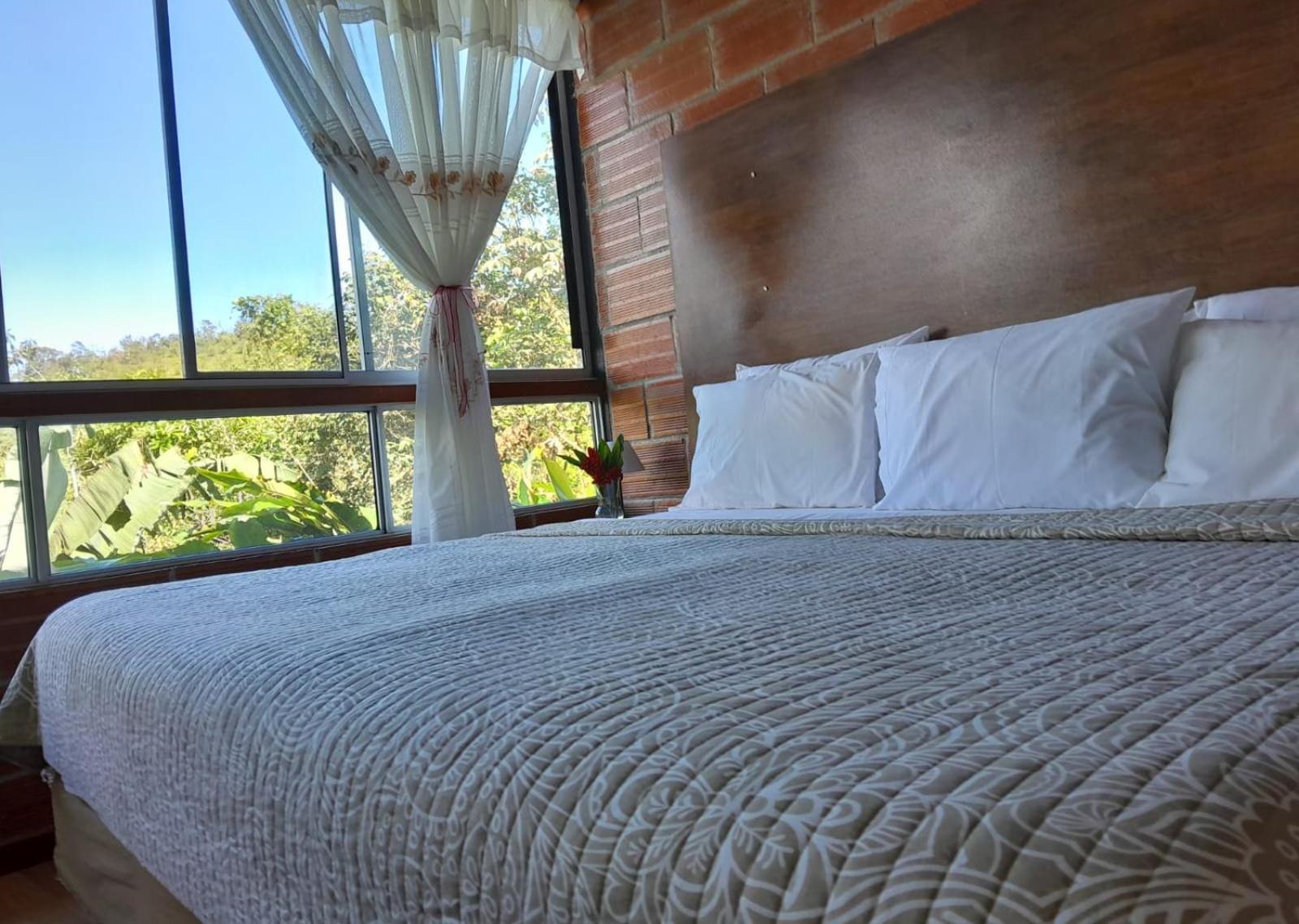 Hosteria Florecer, photo 76