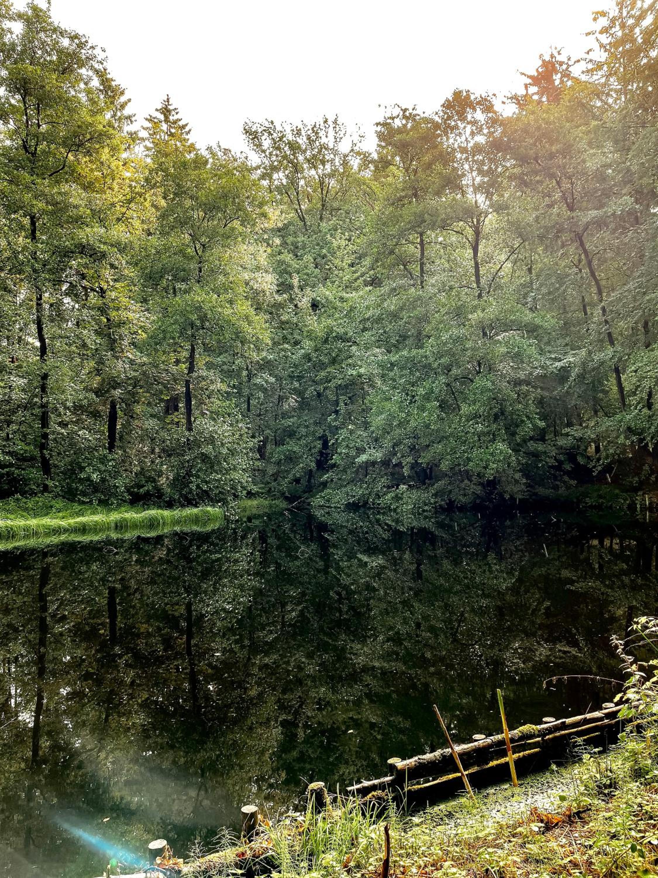 Ludwigslust - Ideal für Naturliebhaber I Fellnasen I Paare