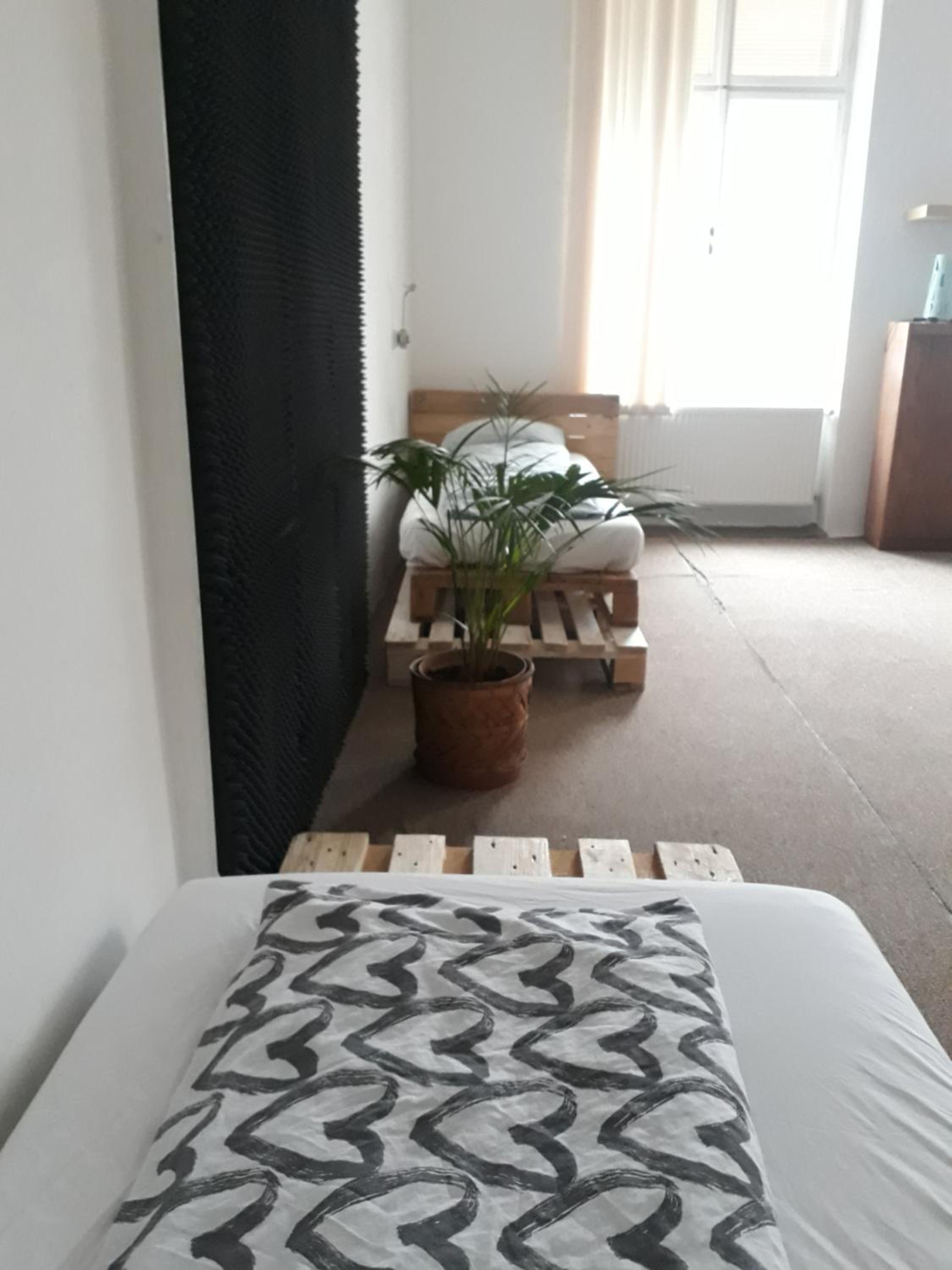 Green Park Rooms Brno