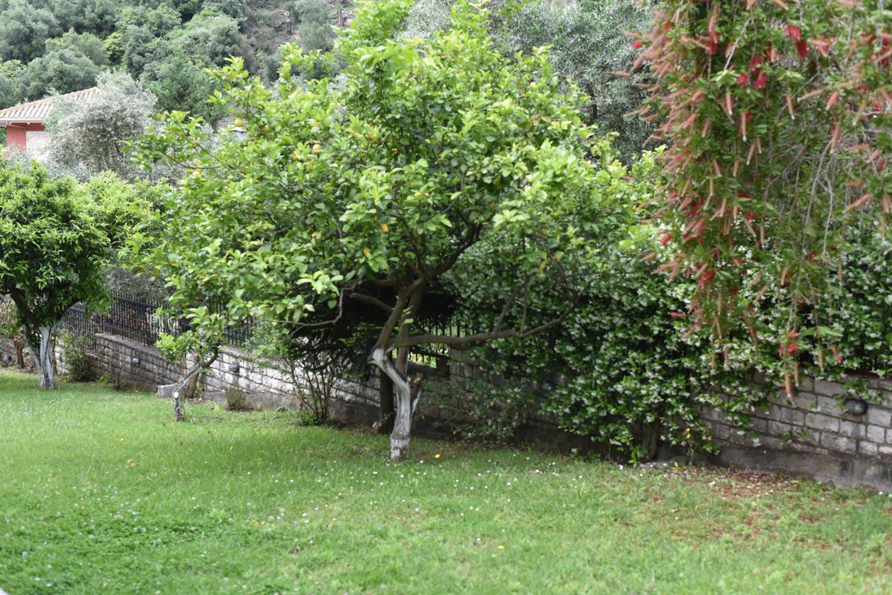 Namaste Apartments photo 2