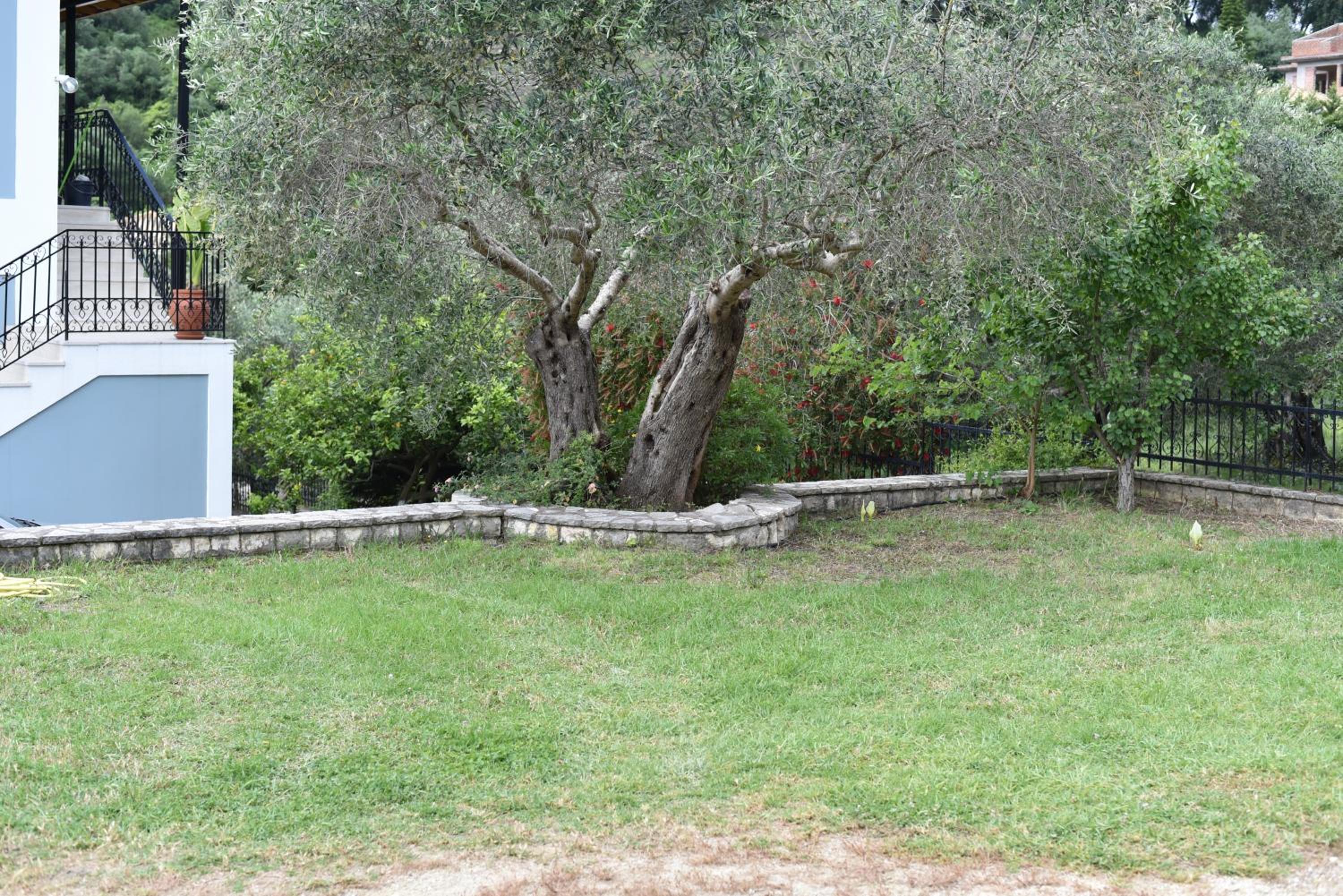 Namaste Apartments photo 3