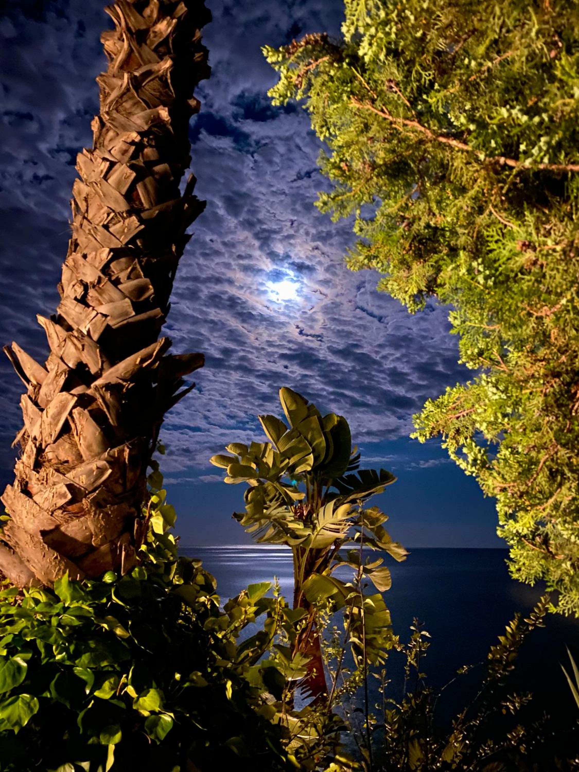 Botanic Garden Apartment Calandre Beach Ventimiglia