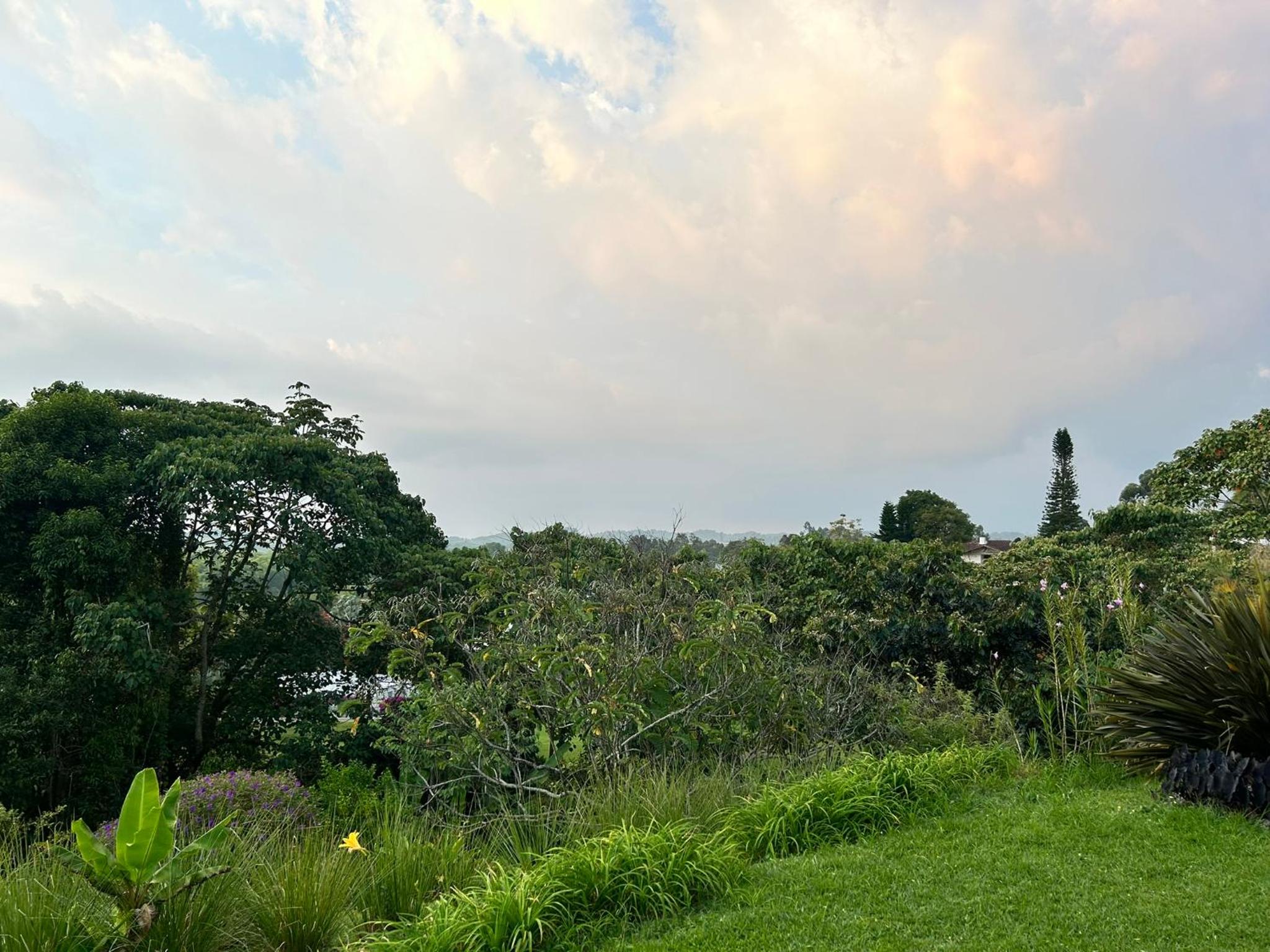 Wayra Natura, photo 66