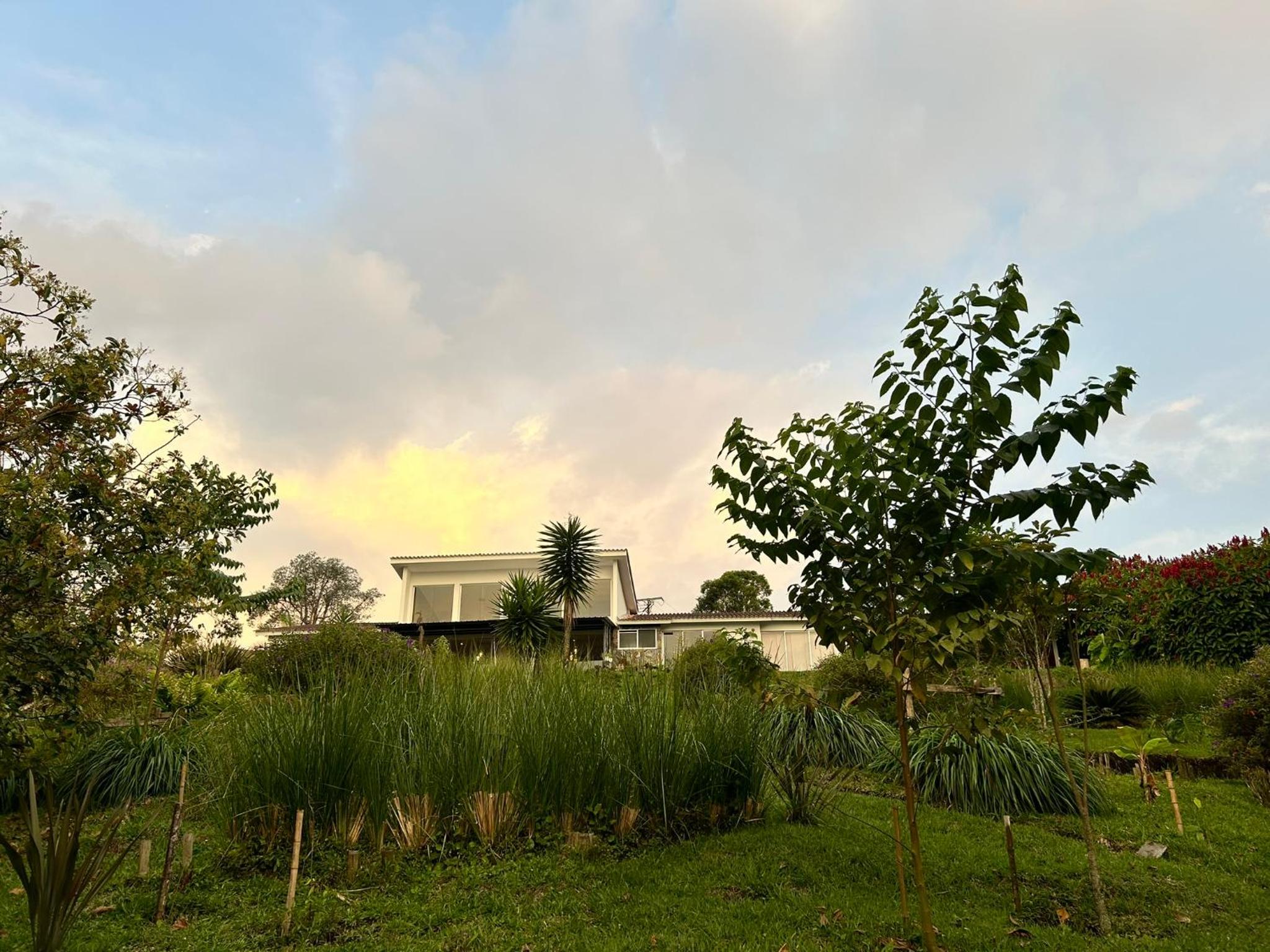 Wayra Natura, photo 145