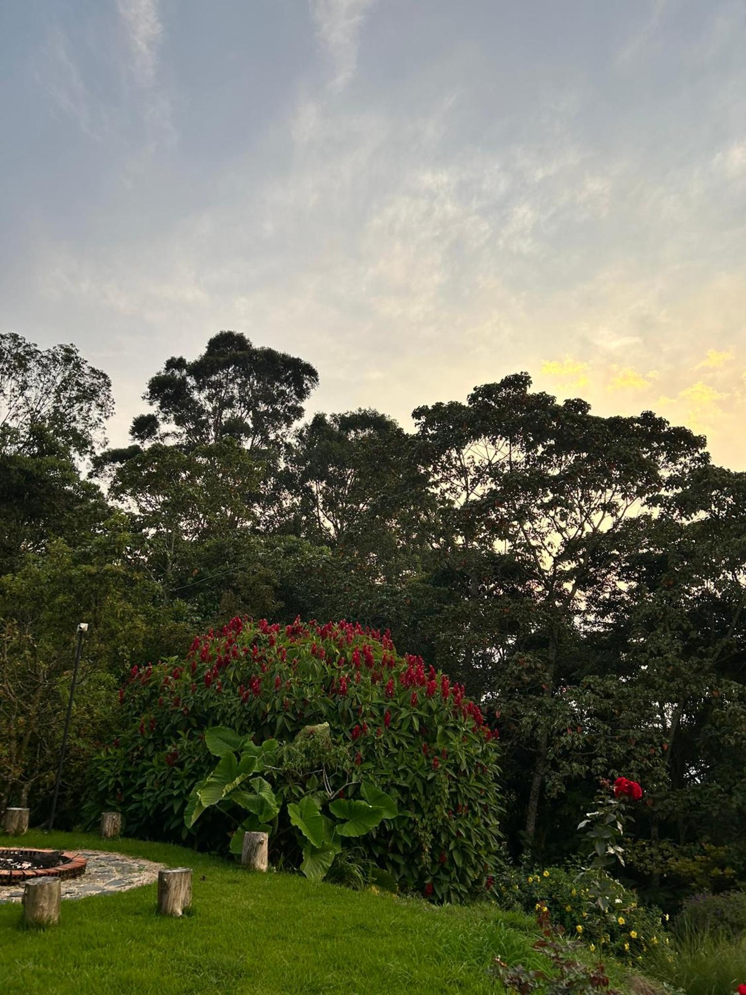 Wayra Natura, photo 116