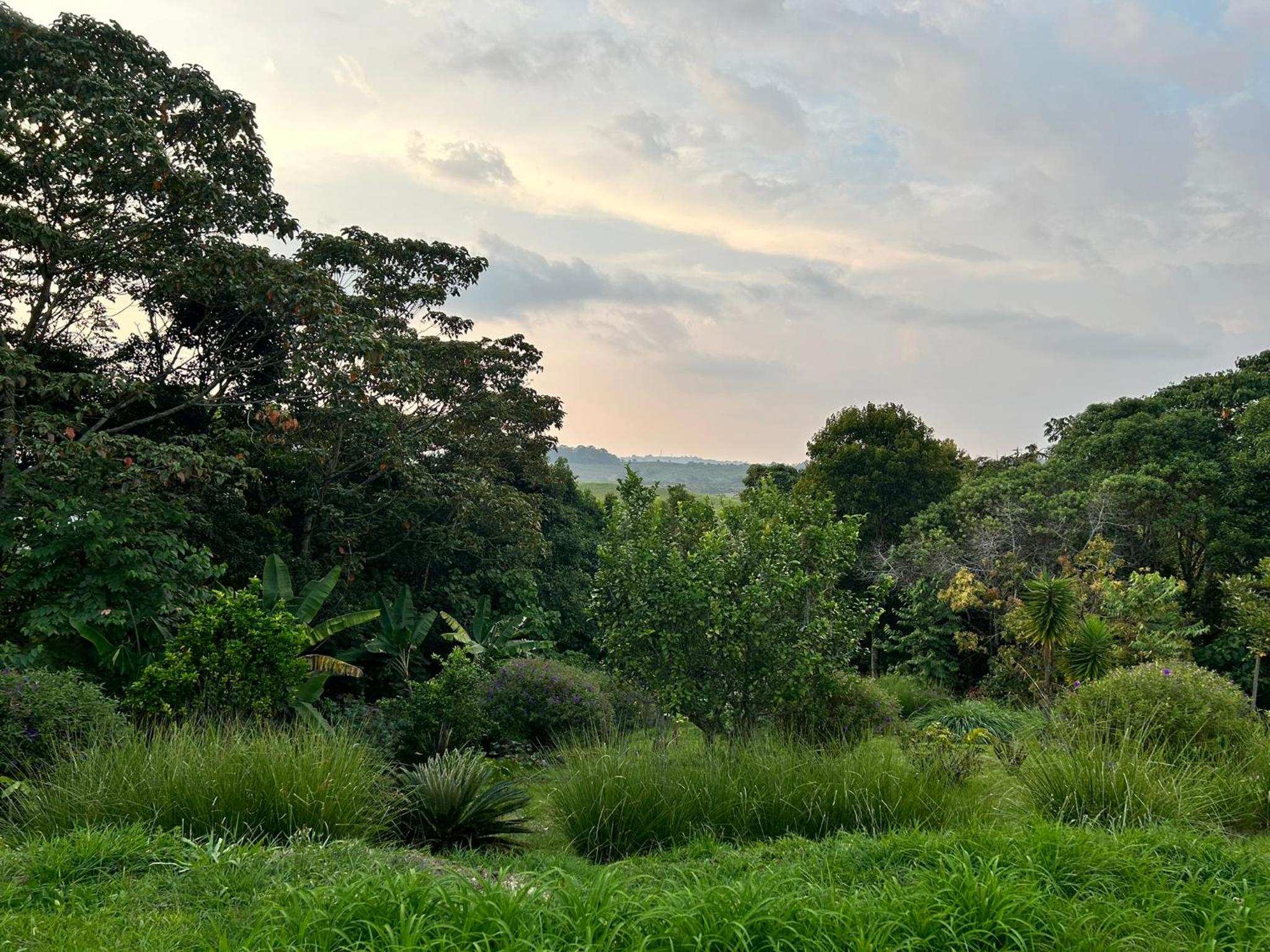 Wayra Natura, photo 123