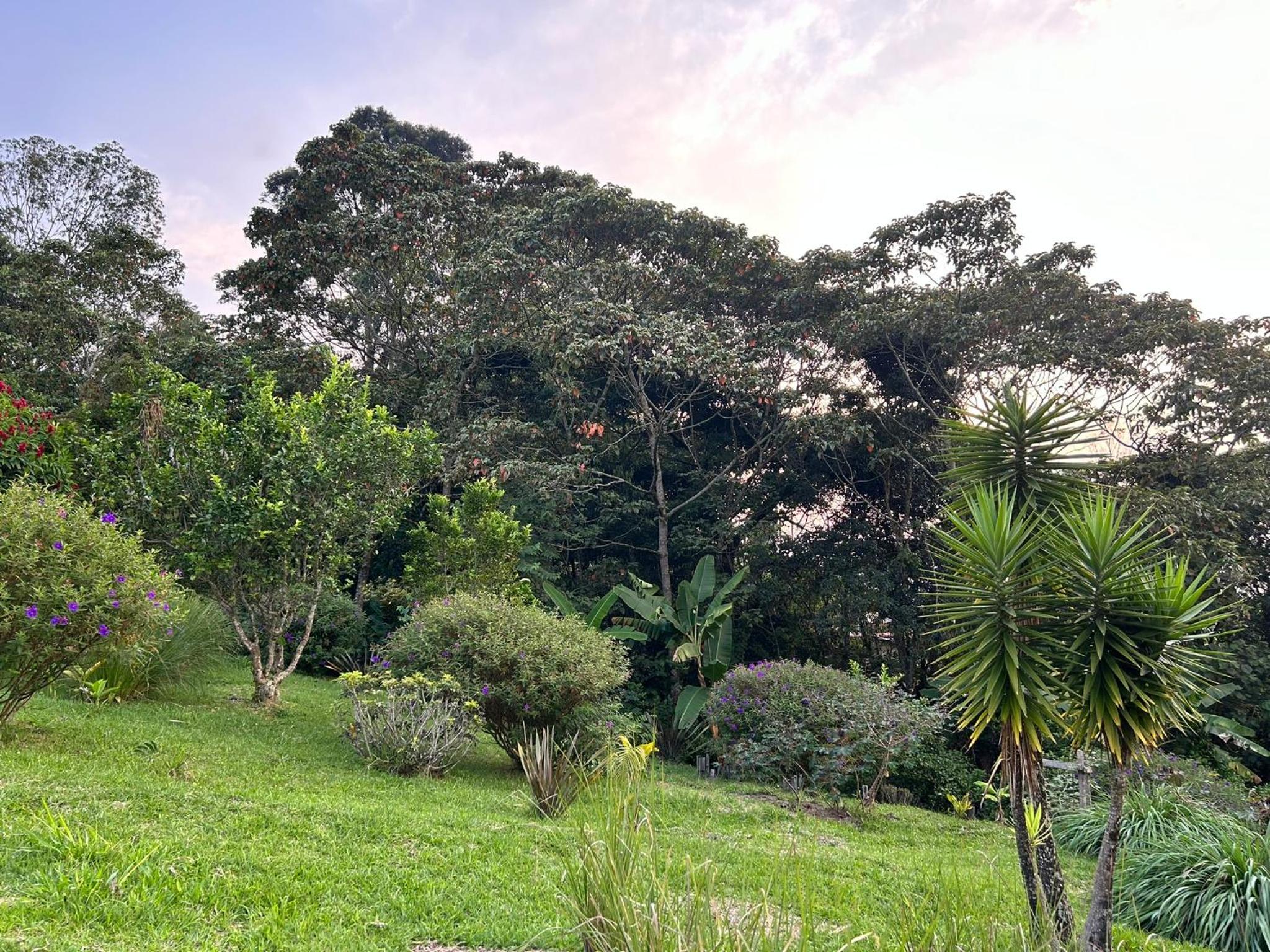 Wayra Natura, photo 129