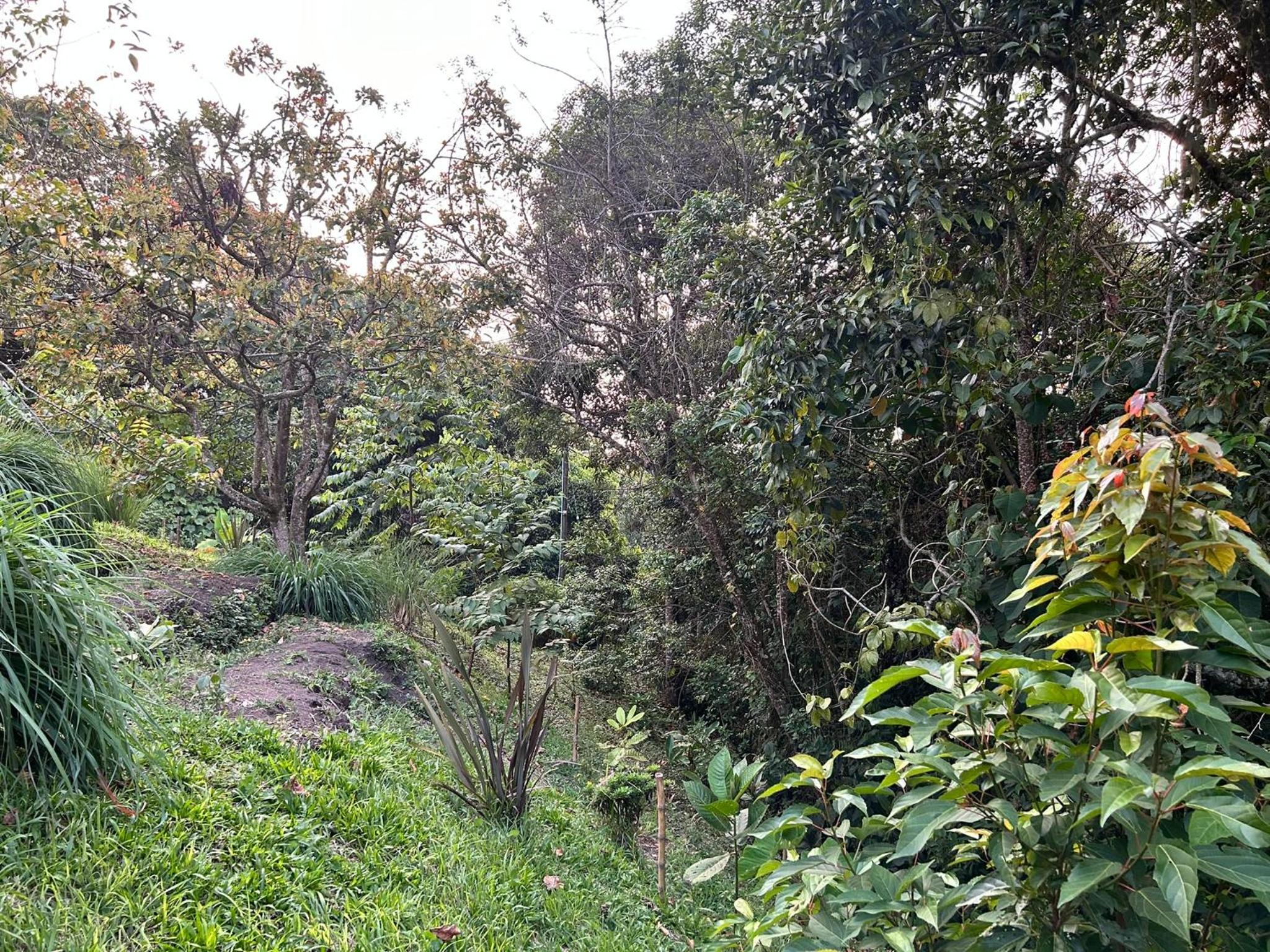 Wayra Natura, photo 192