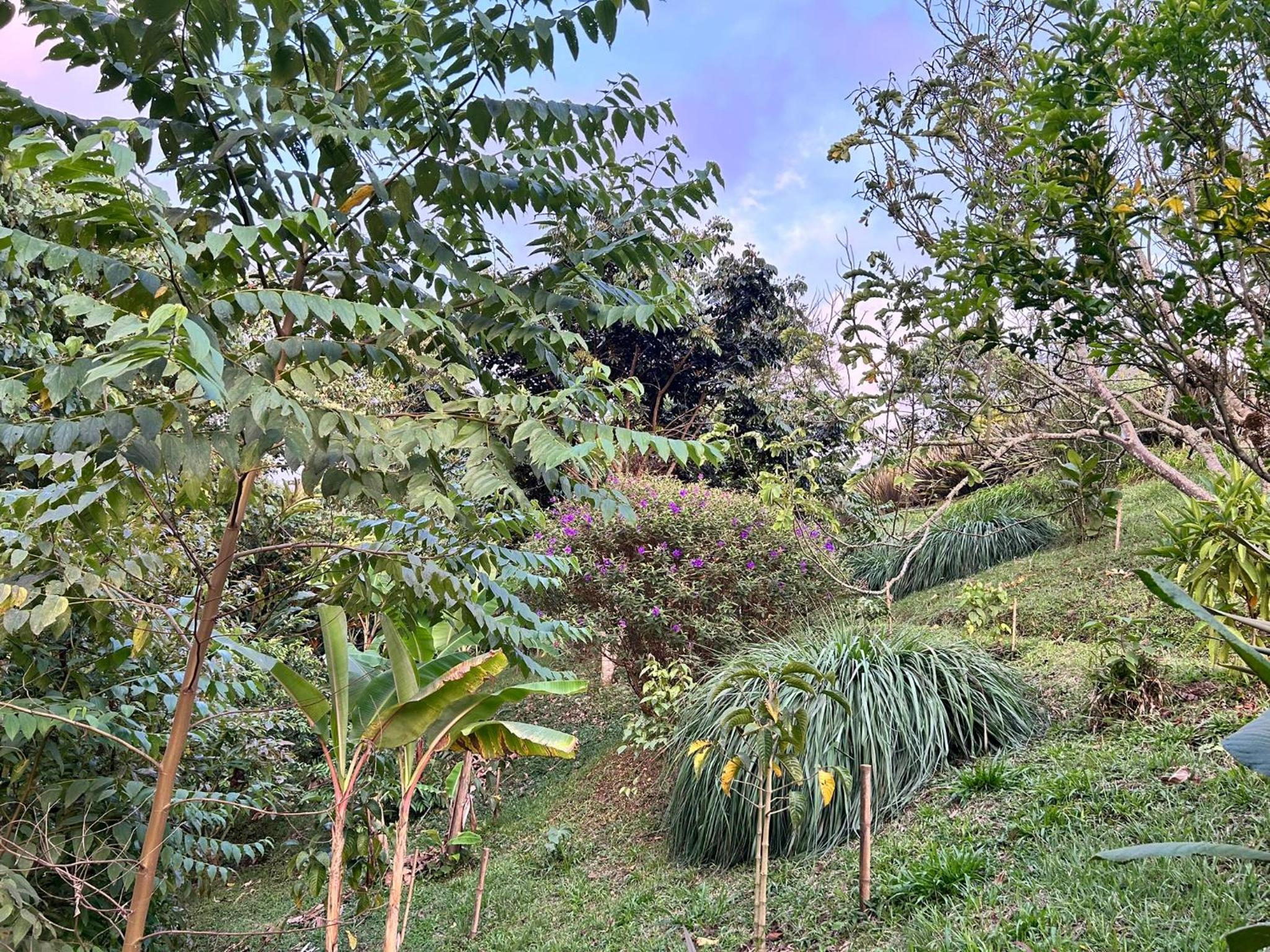 Wayra Natura, photo 51