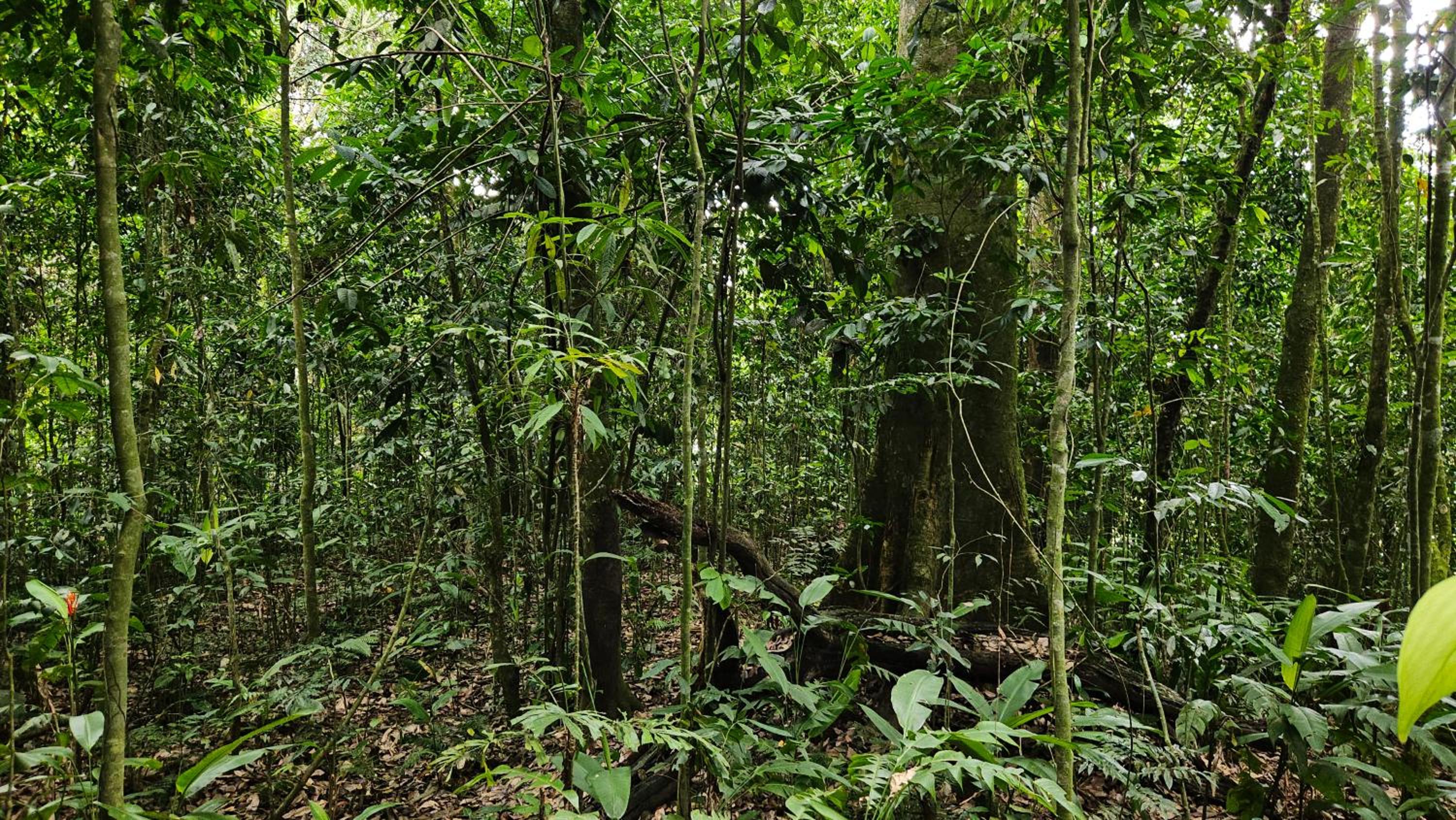 Wayra Natura, photo 137