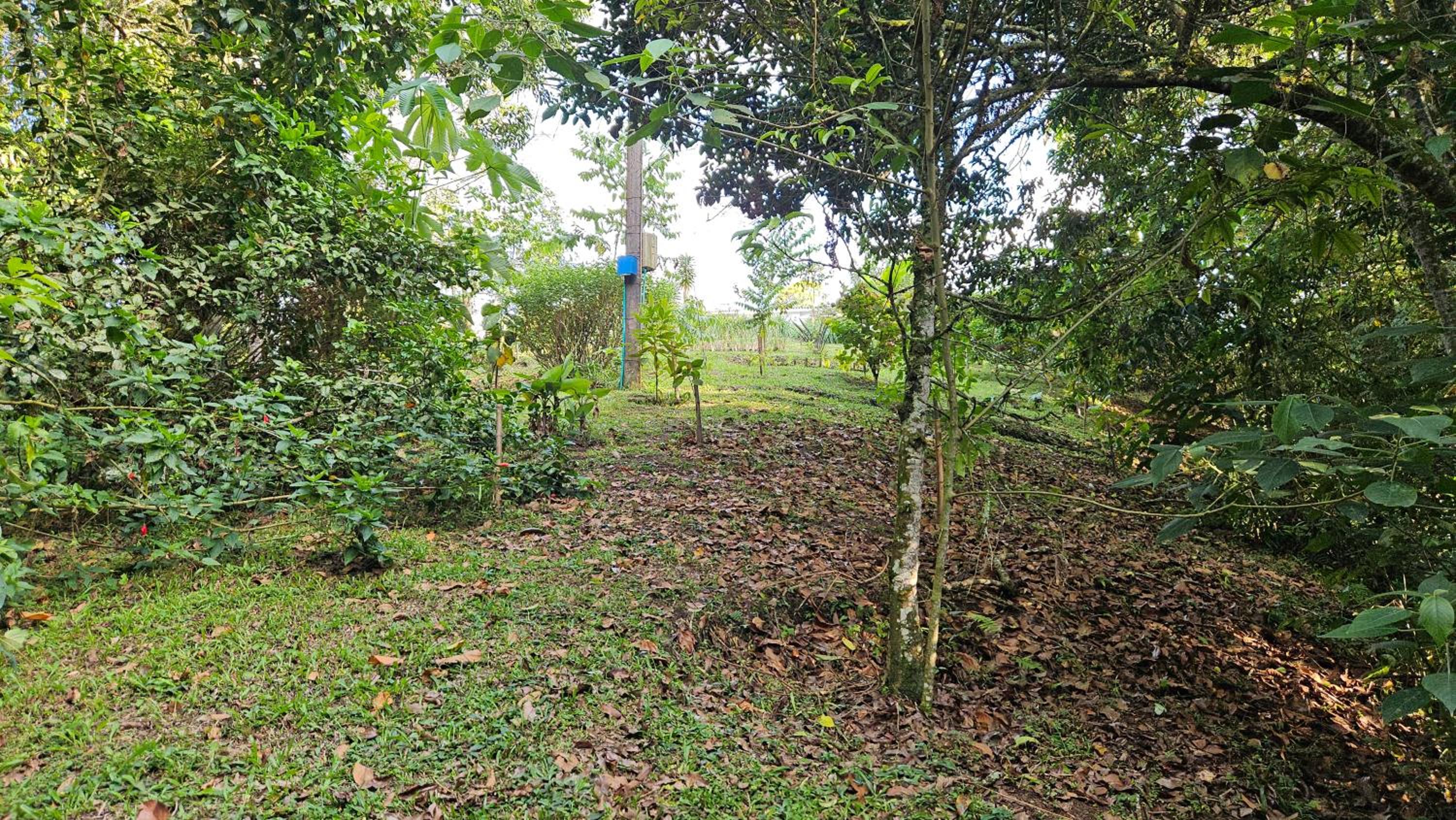 Wayra Natura, photo 158