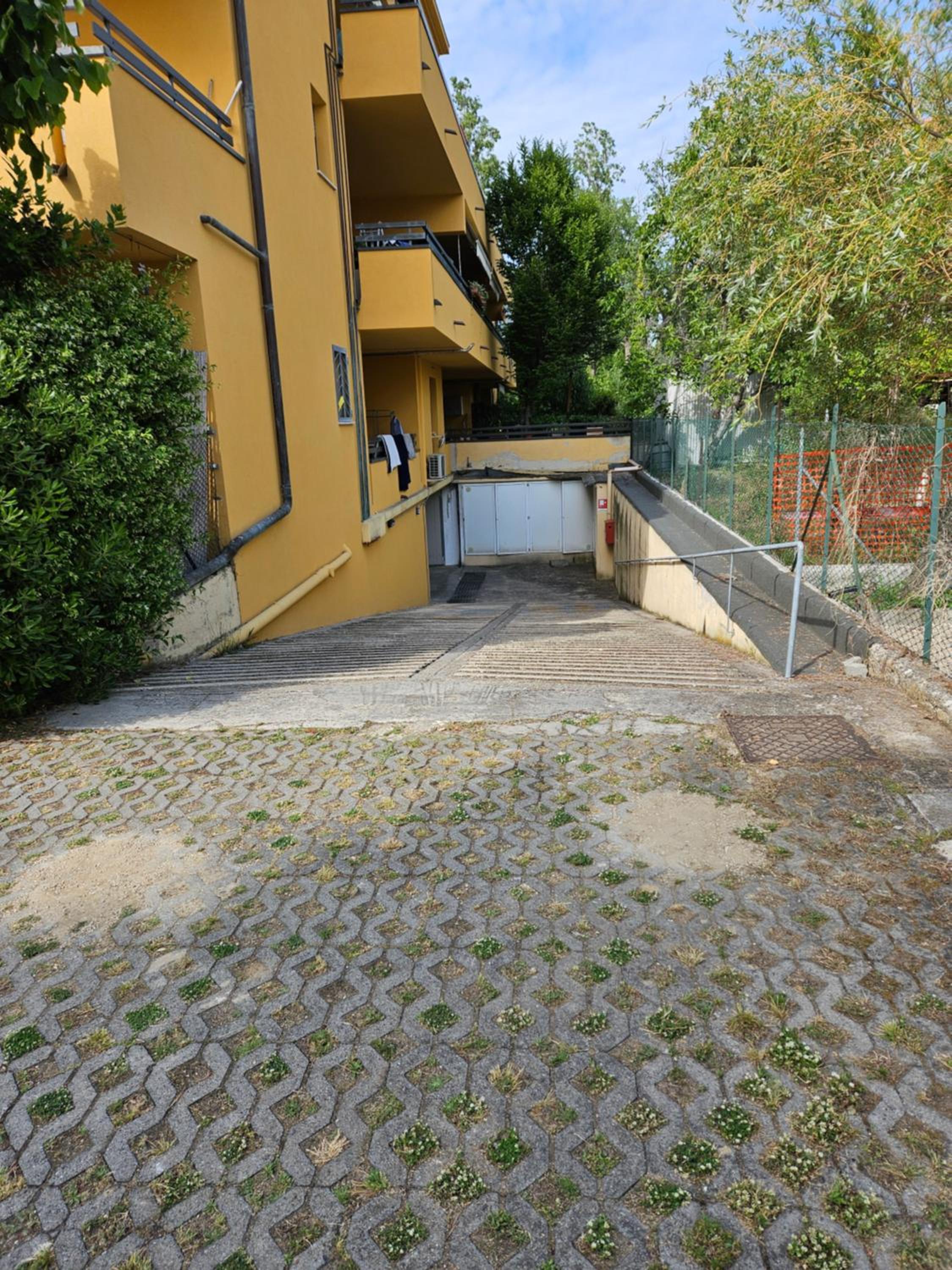 Photo 44