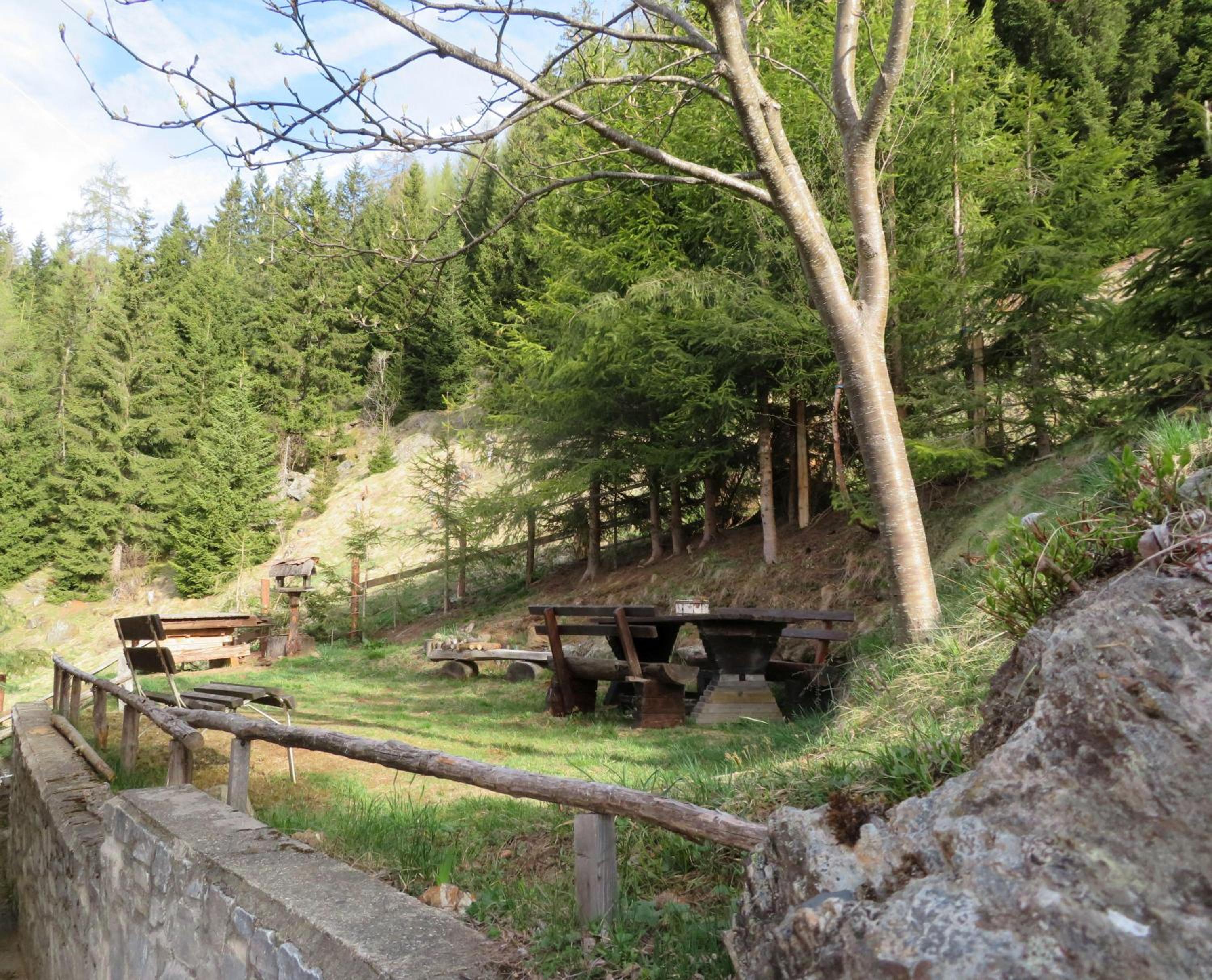 ALMNEST - LACHTAL