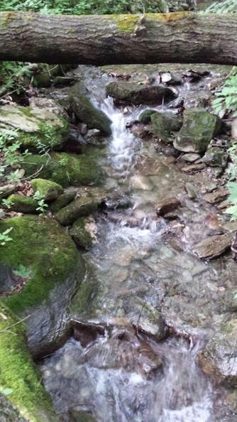 Cabin in the Woods - Property Image 10