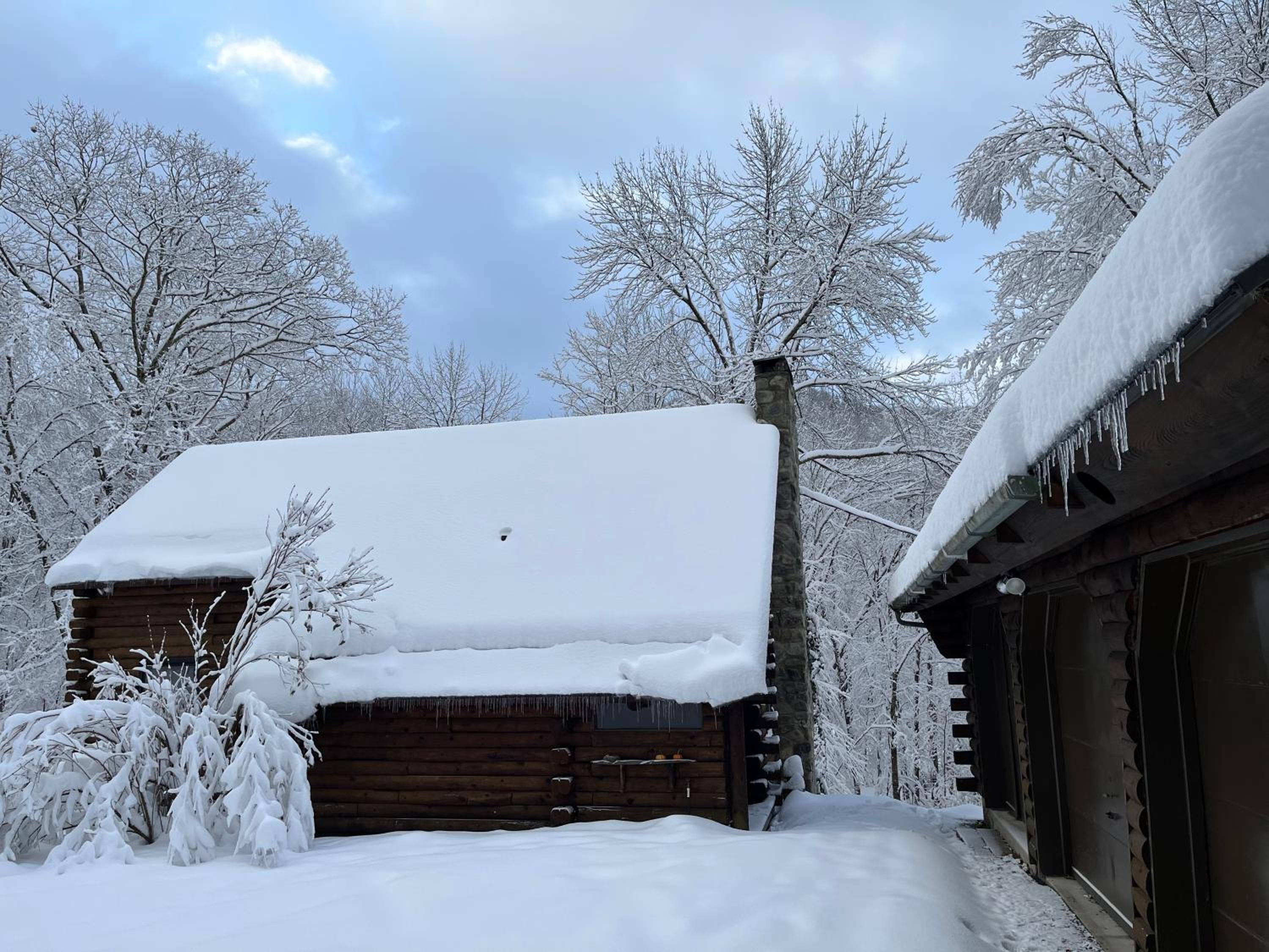 Cabin in the Woods - Property Image 17