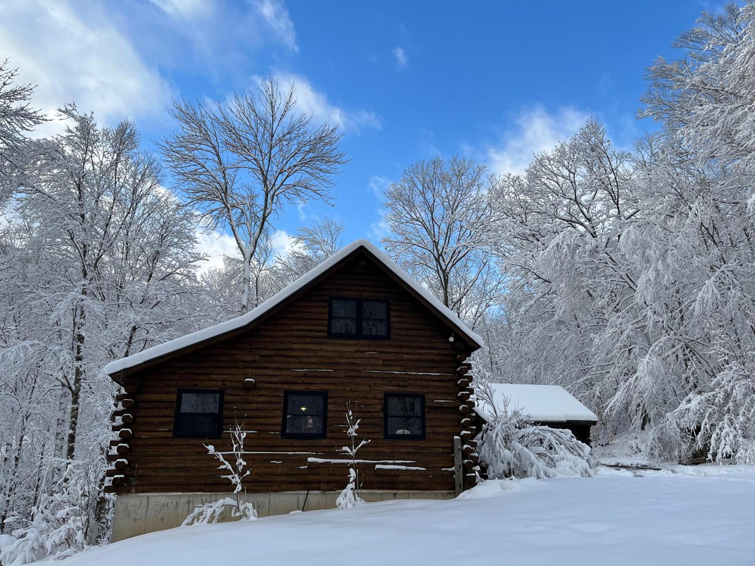 Cabin in the Woods - Property Image 16