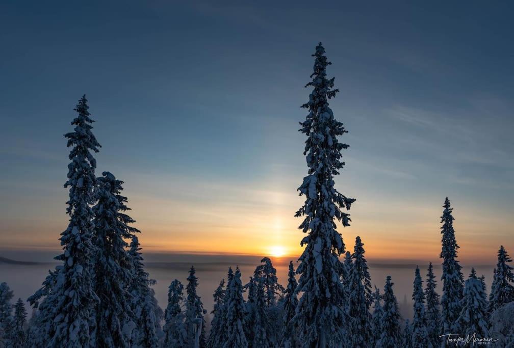 Näköalahuoneisto Iso-Syöte Ketunpolku