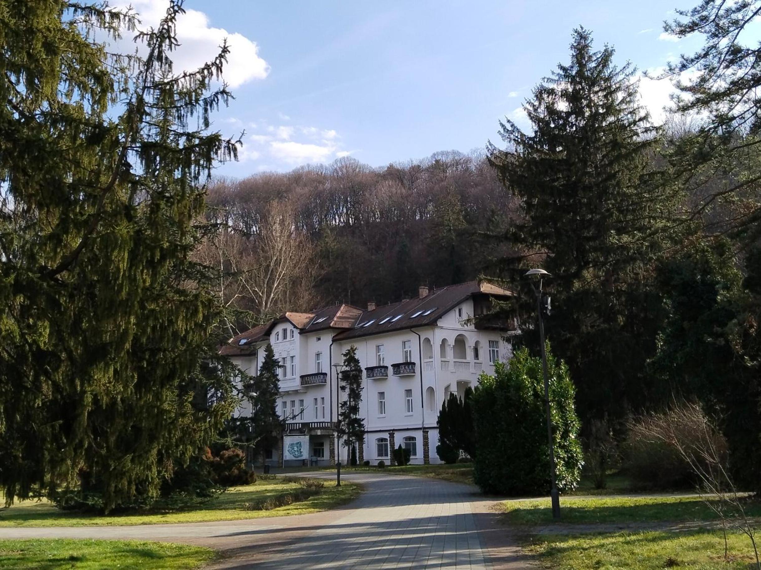 Apartman Sofia