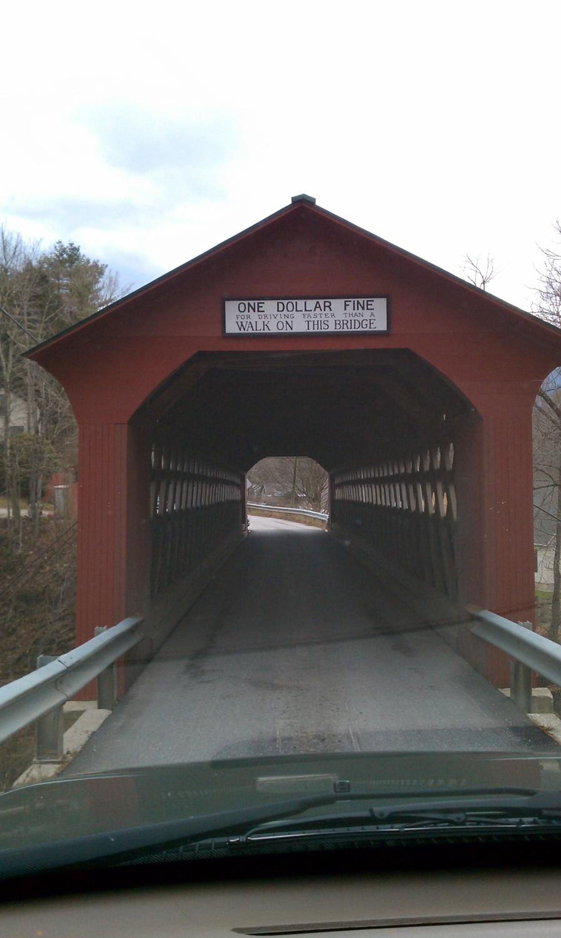 Cabin in the Woods - Property Image 18