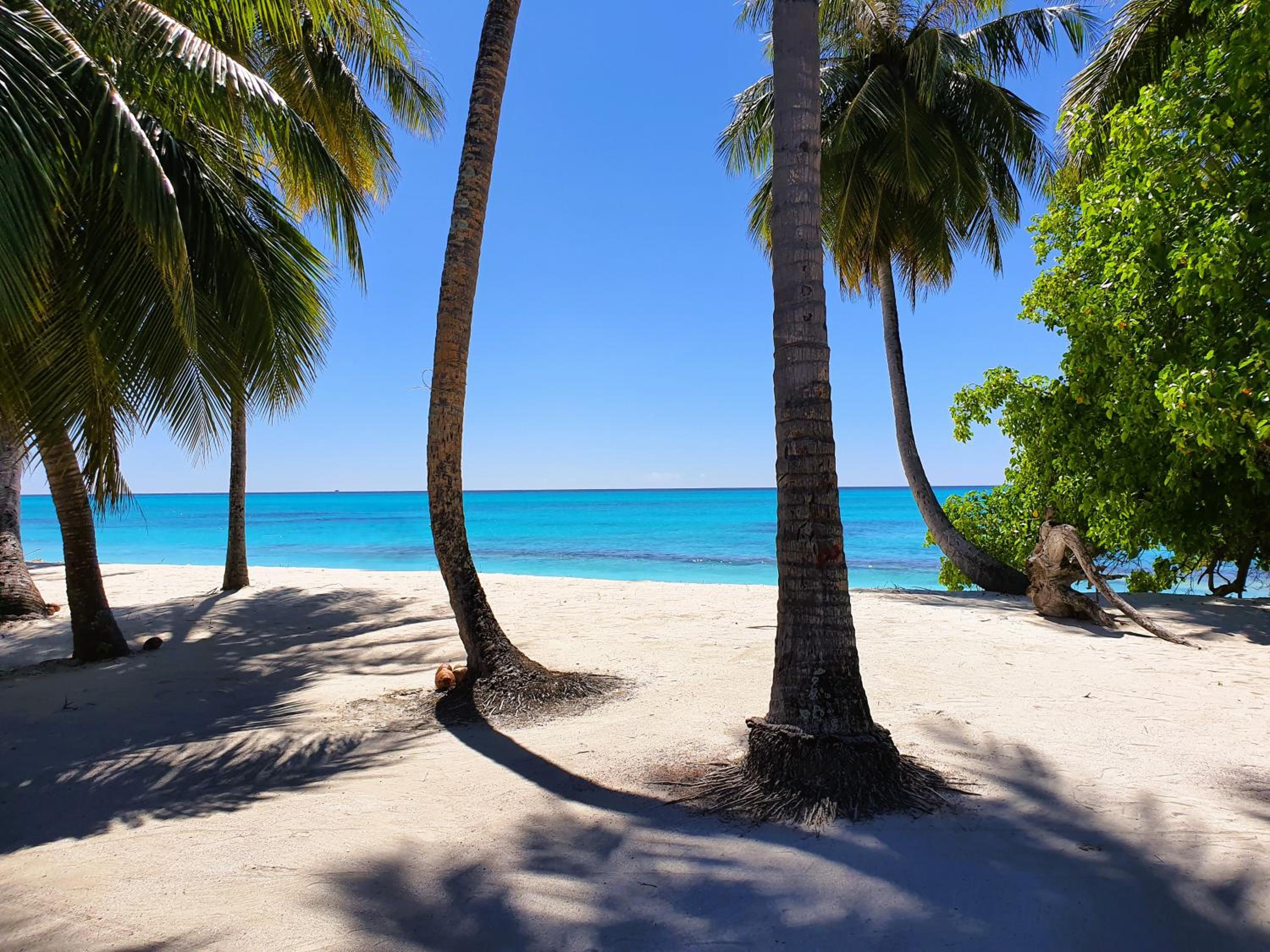 The Fulhadhoo Beach Cottage