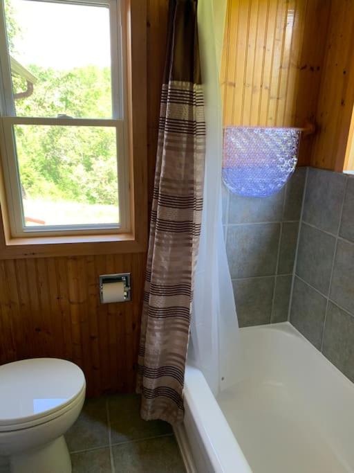 Tranquil private get away cottage in the woods