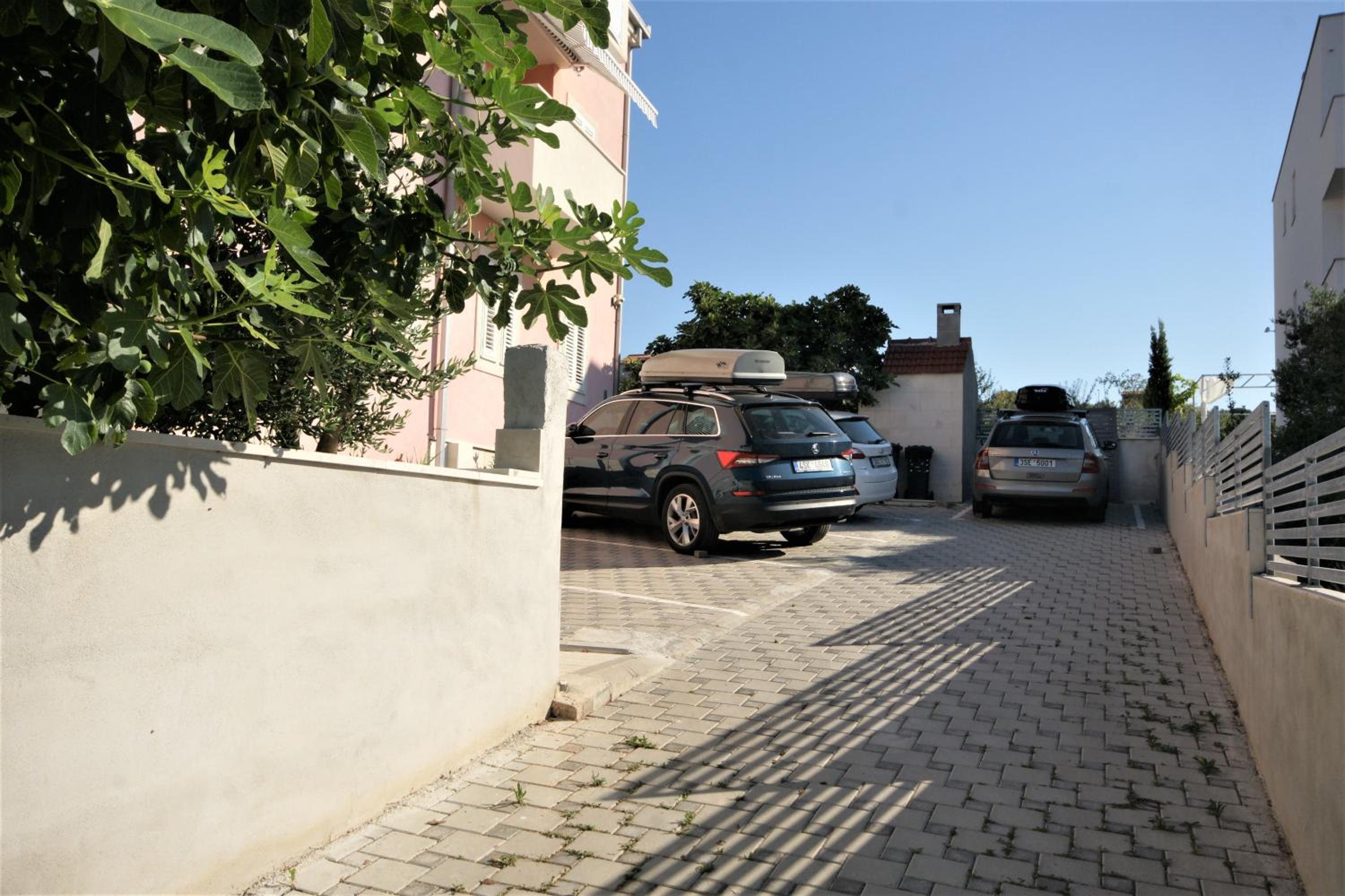Photo 42