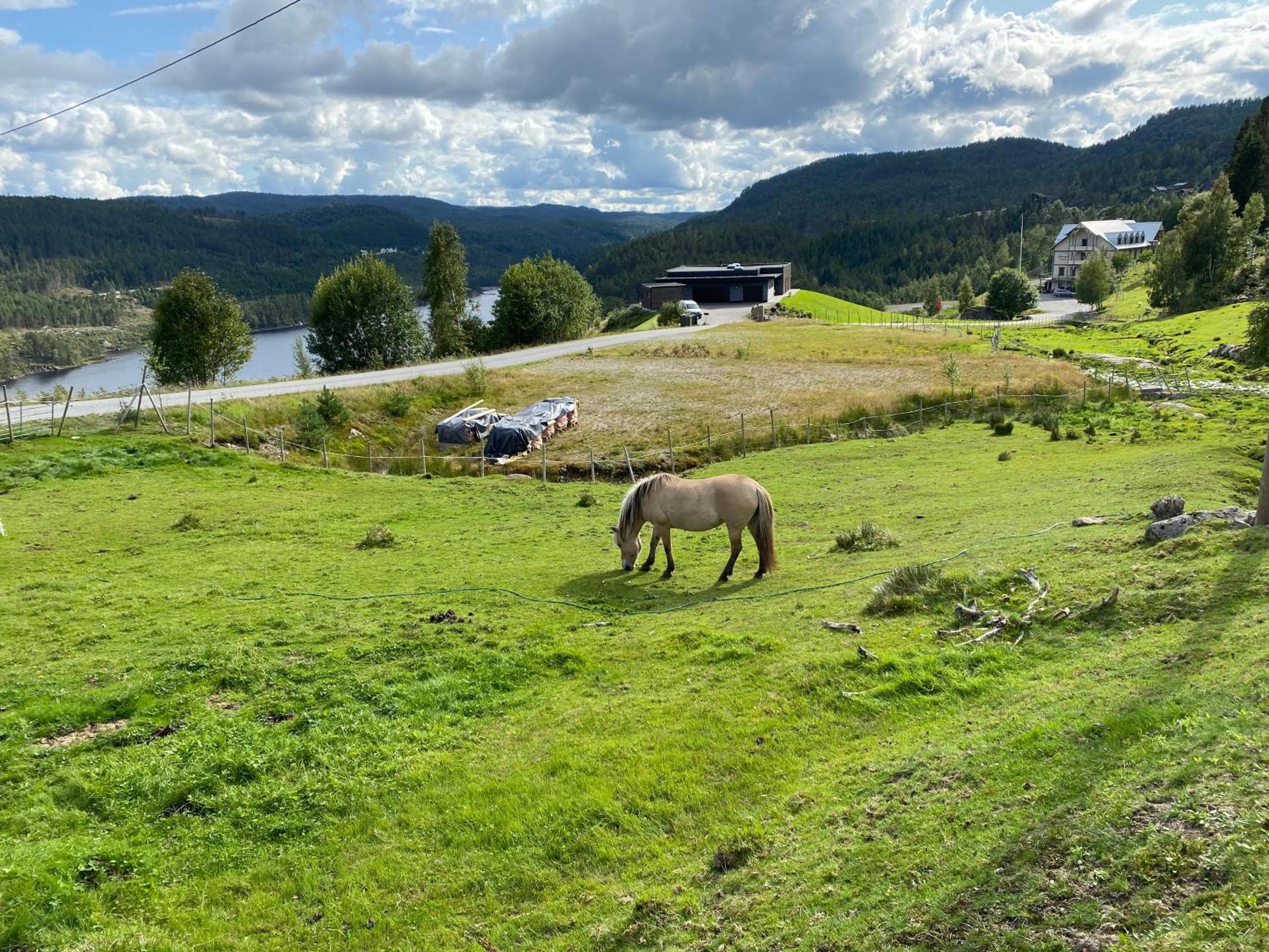 Hygge på fjellet view 4