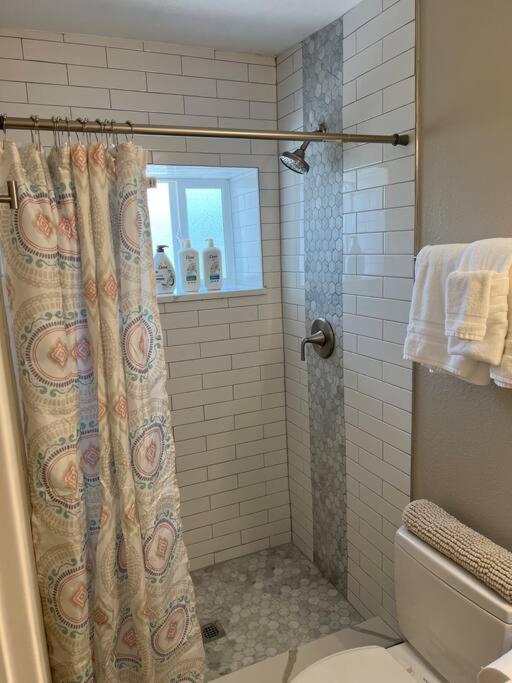 Cozy 1 bedroom in the heart of Brighton view 2