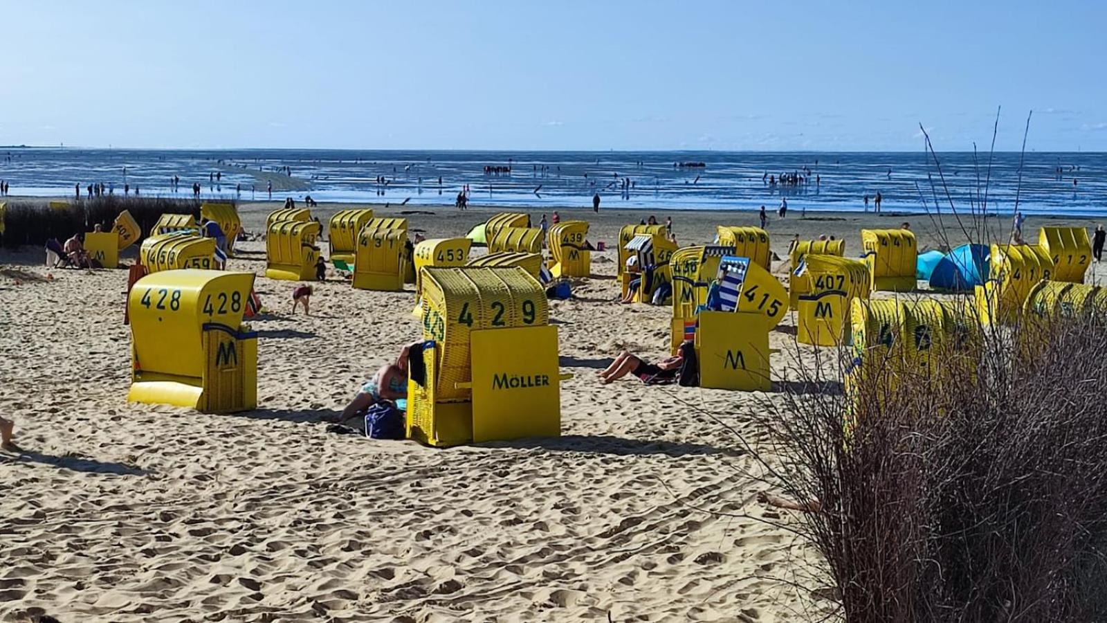Nordsee-Oase